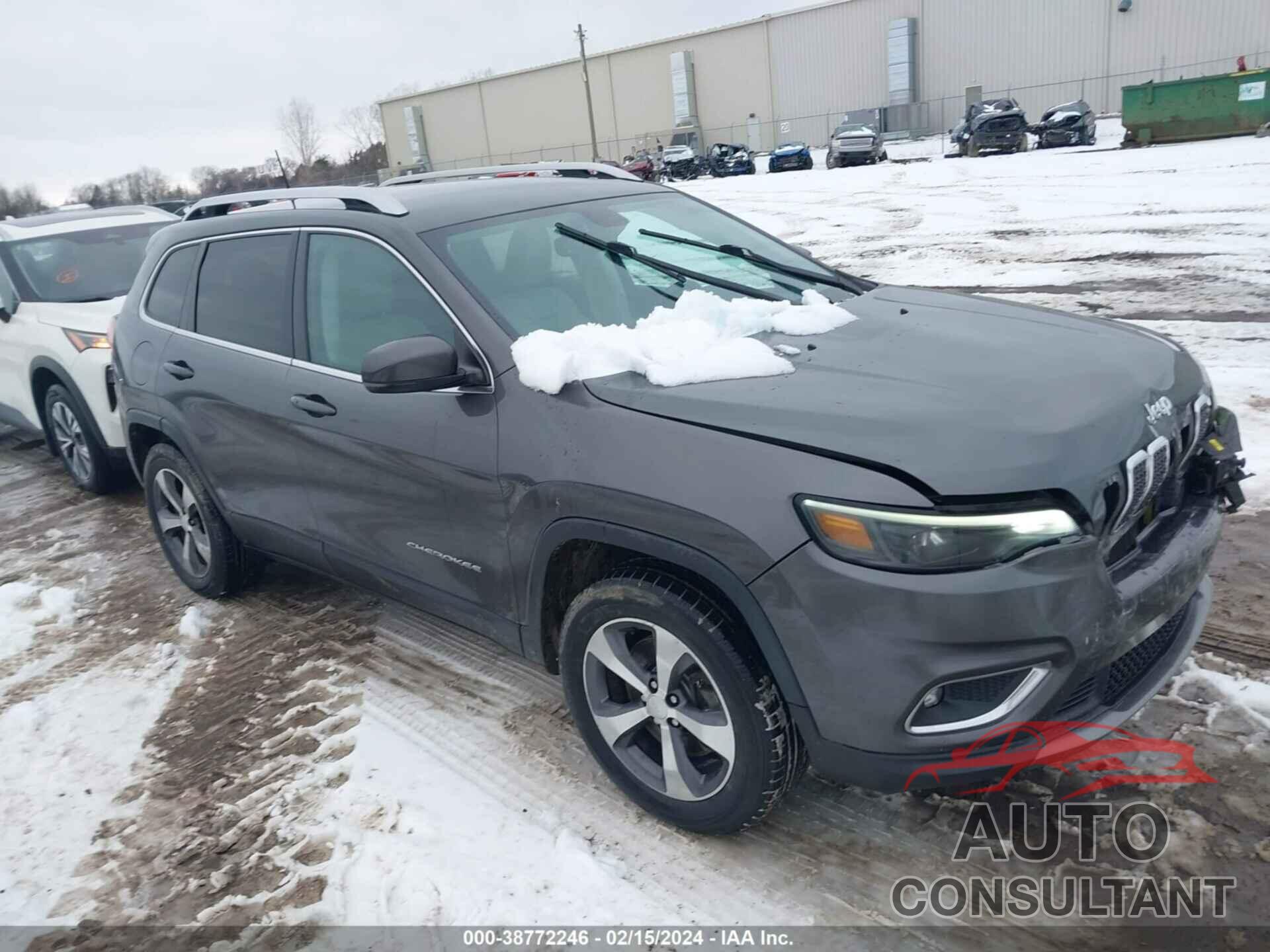 JEEP CHEROKEE 2019 - 1C4PJMDX6KD208003