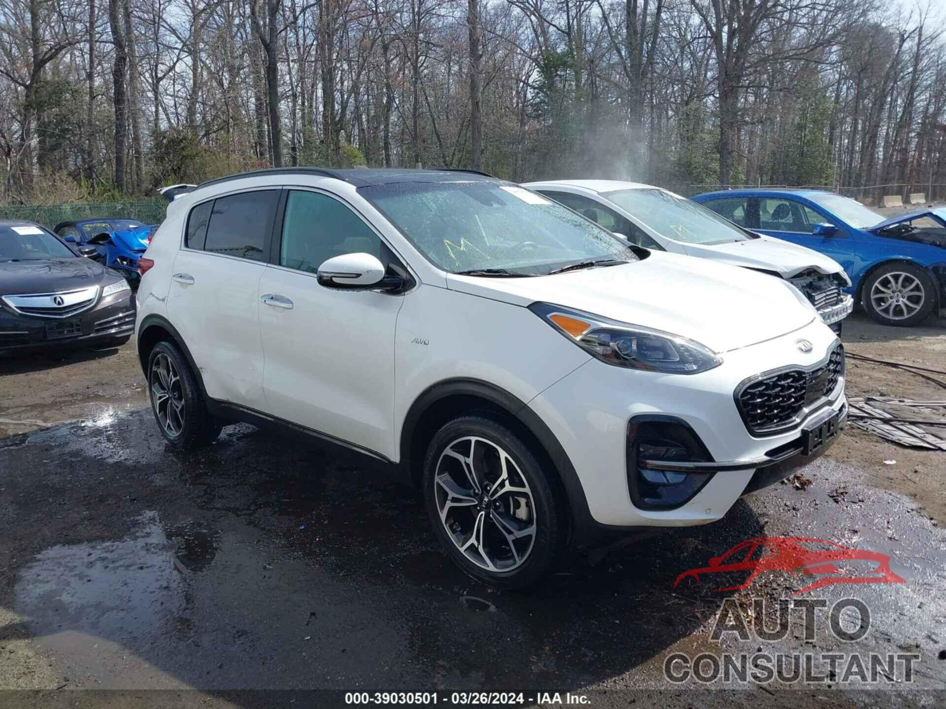 KIA SPORTAGE 2022 - KNDPRCA61N7994052