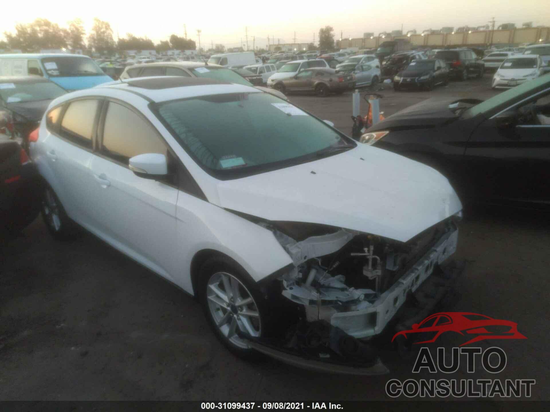 FORD FOCUS 2016 - 1FADP3K20GL284192