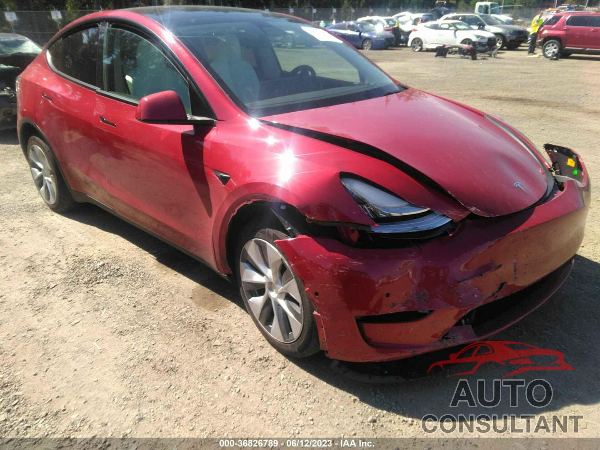 TESLA MODEL Y 2022 - 7SAYGAEE8NF490739