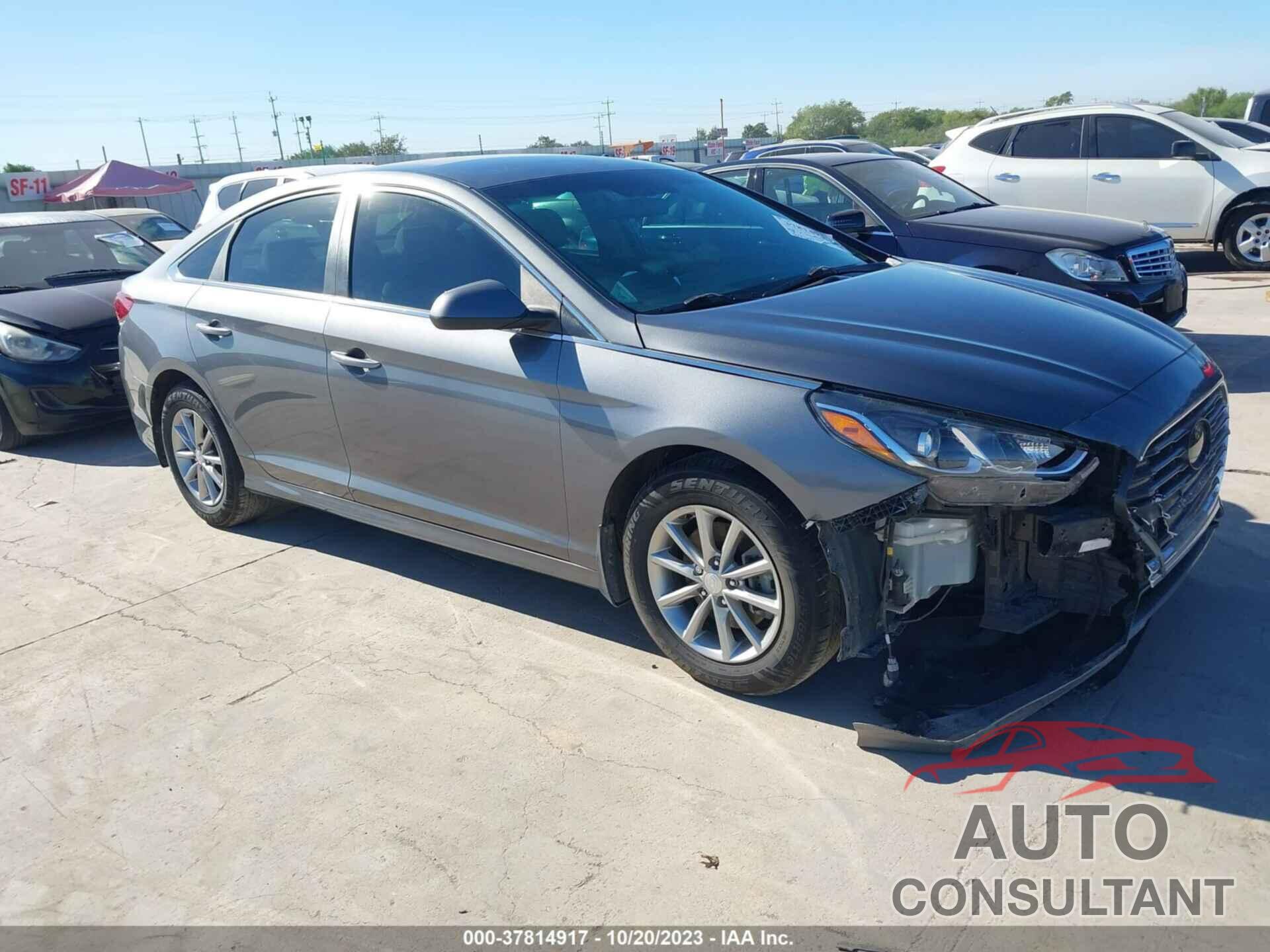 HYUNDAI SONATA 2019 - 5NPE24AF1KH806980