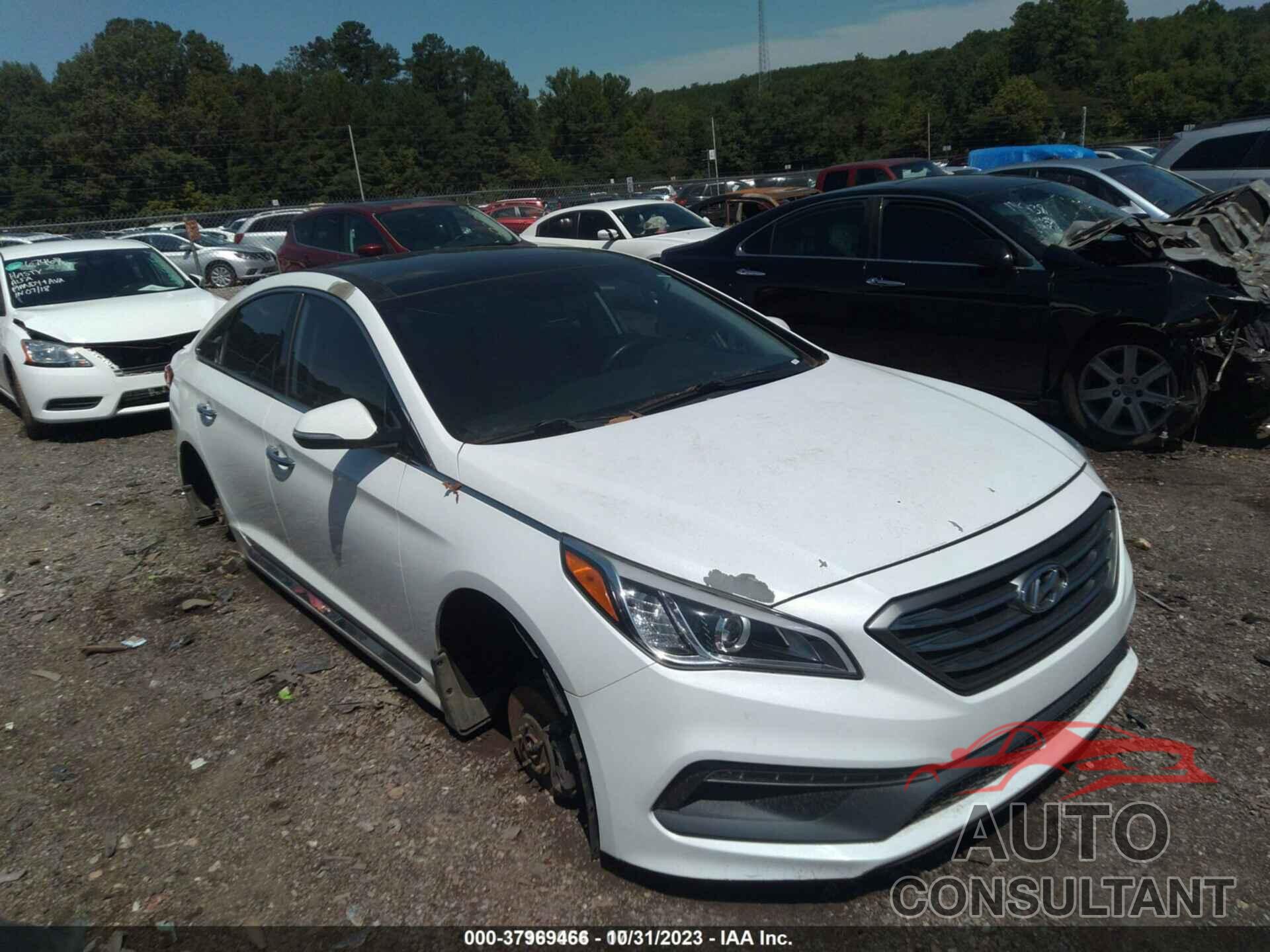 HYUNDAI SONATA 2016 - 5NPE34AF7GH391653