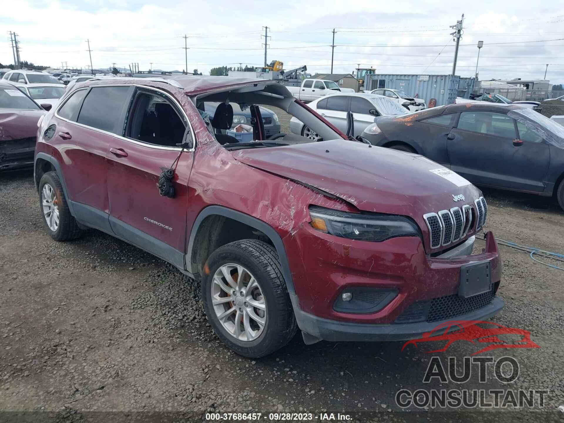 JEEP CHEROKEE 2019 - 1C4PJLCB3KD420115