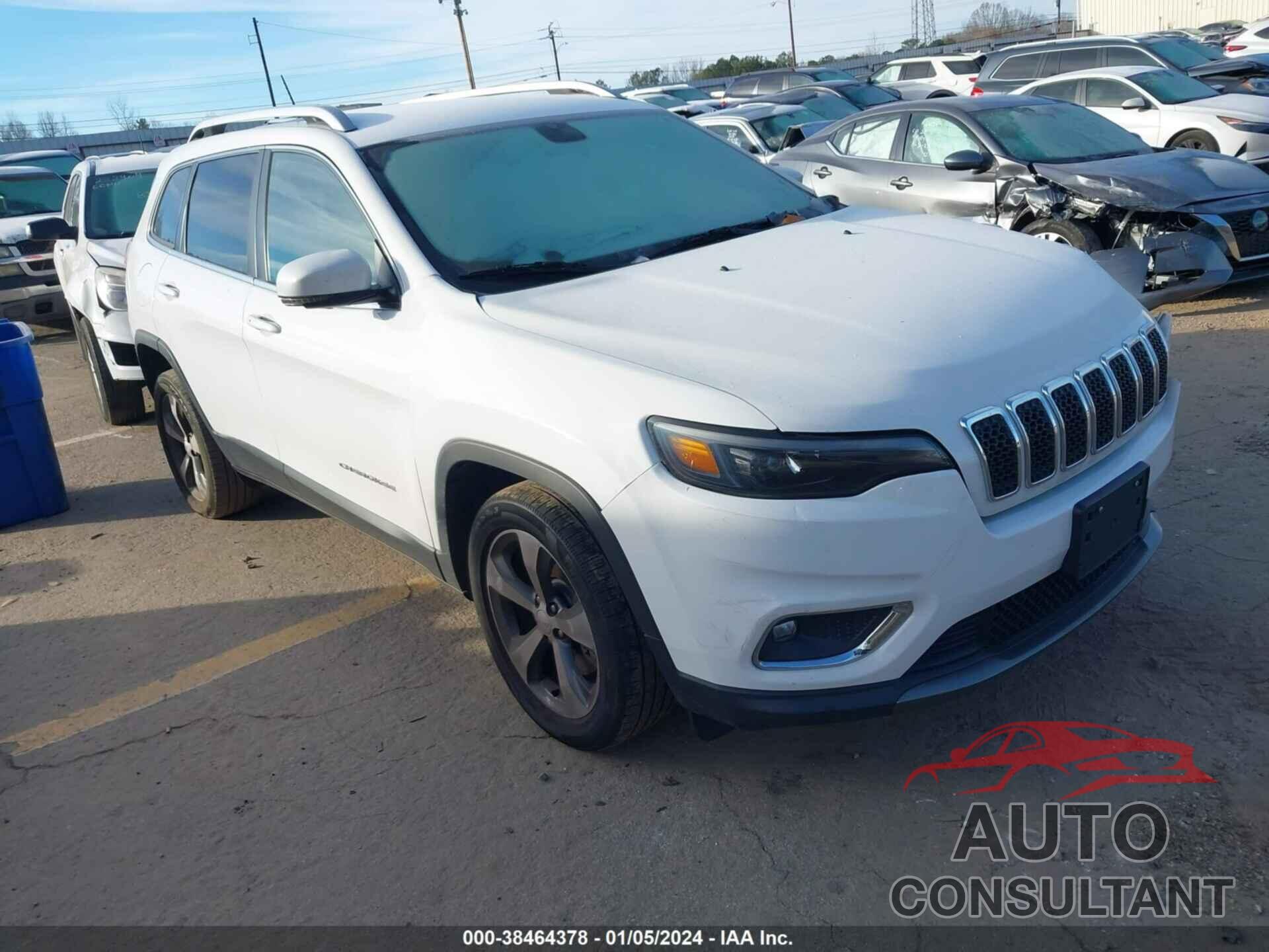 JEEP CHEROKEE 2019 - 1C4PJLDB9KD443591