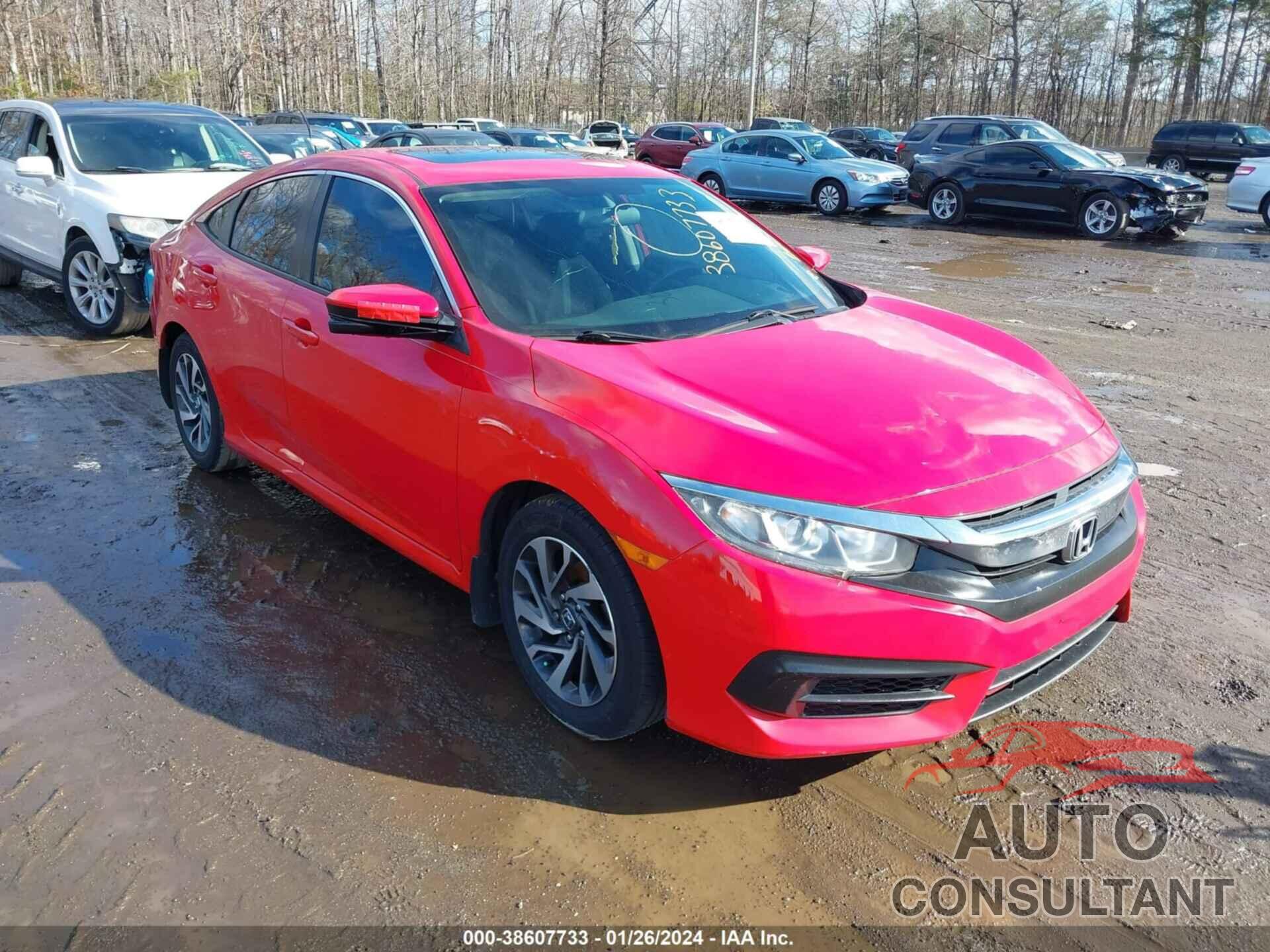 HONDA CIVIC 2016 - 2HGFC2F77GH564849