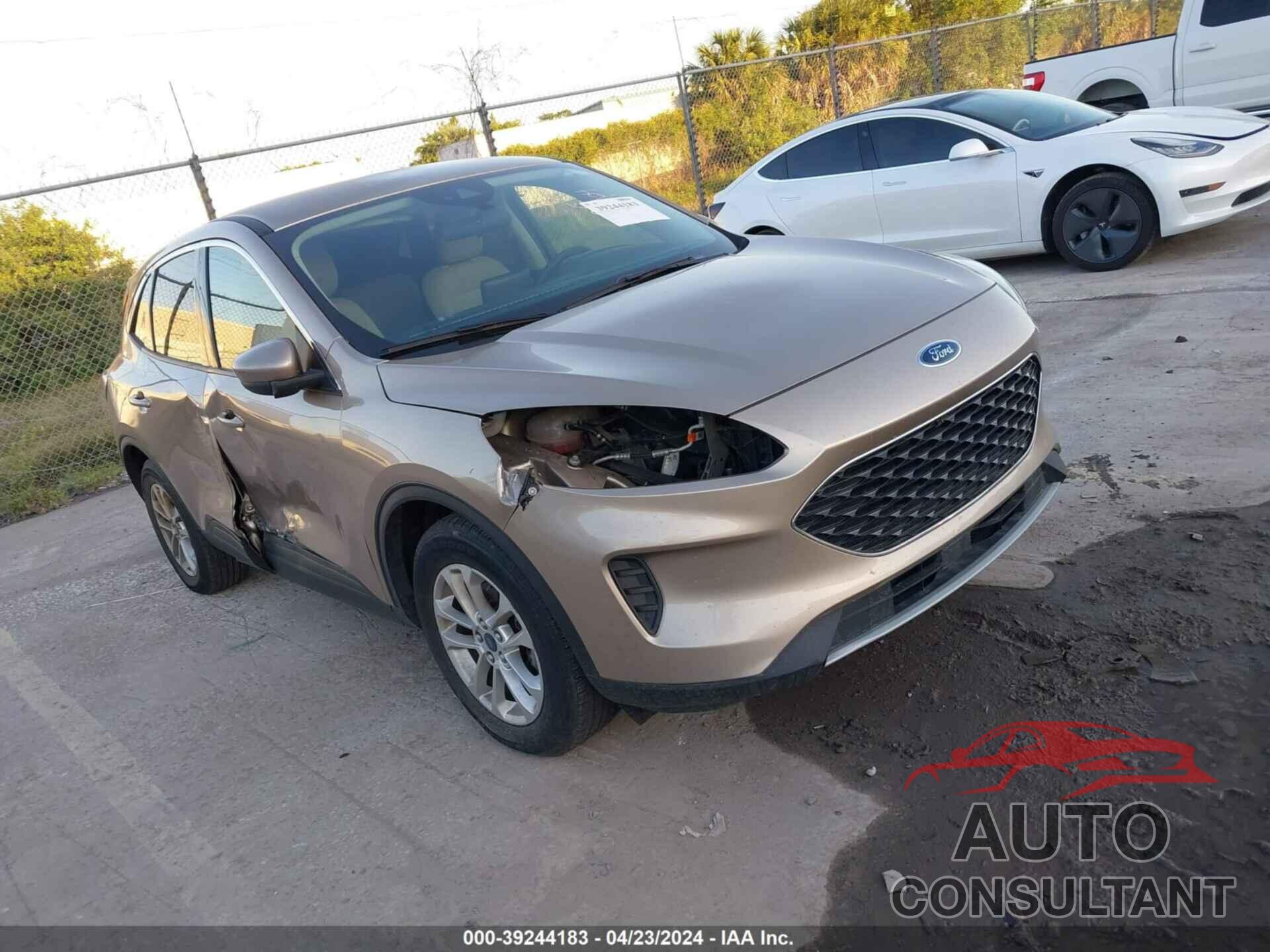 FORD ESCAPE 2020 - 1FMCU0G64LUA74168