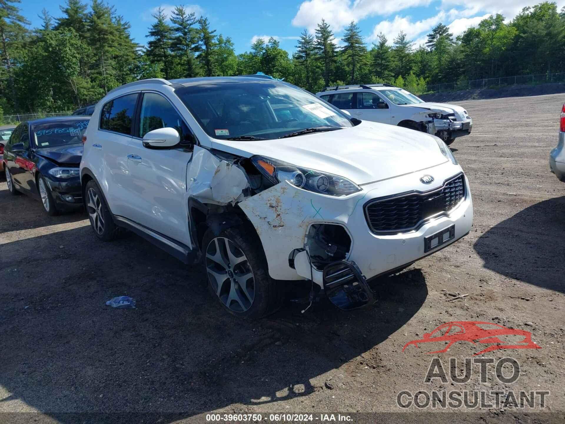 KIA SPORTAGE 2017 - KNDPRCA61H7174655