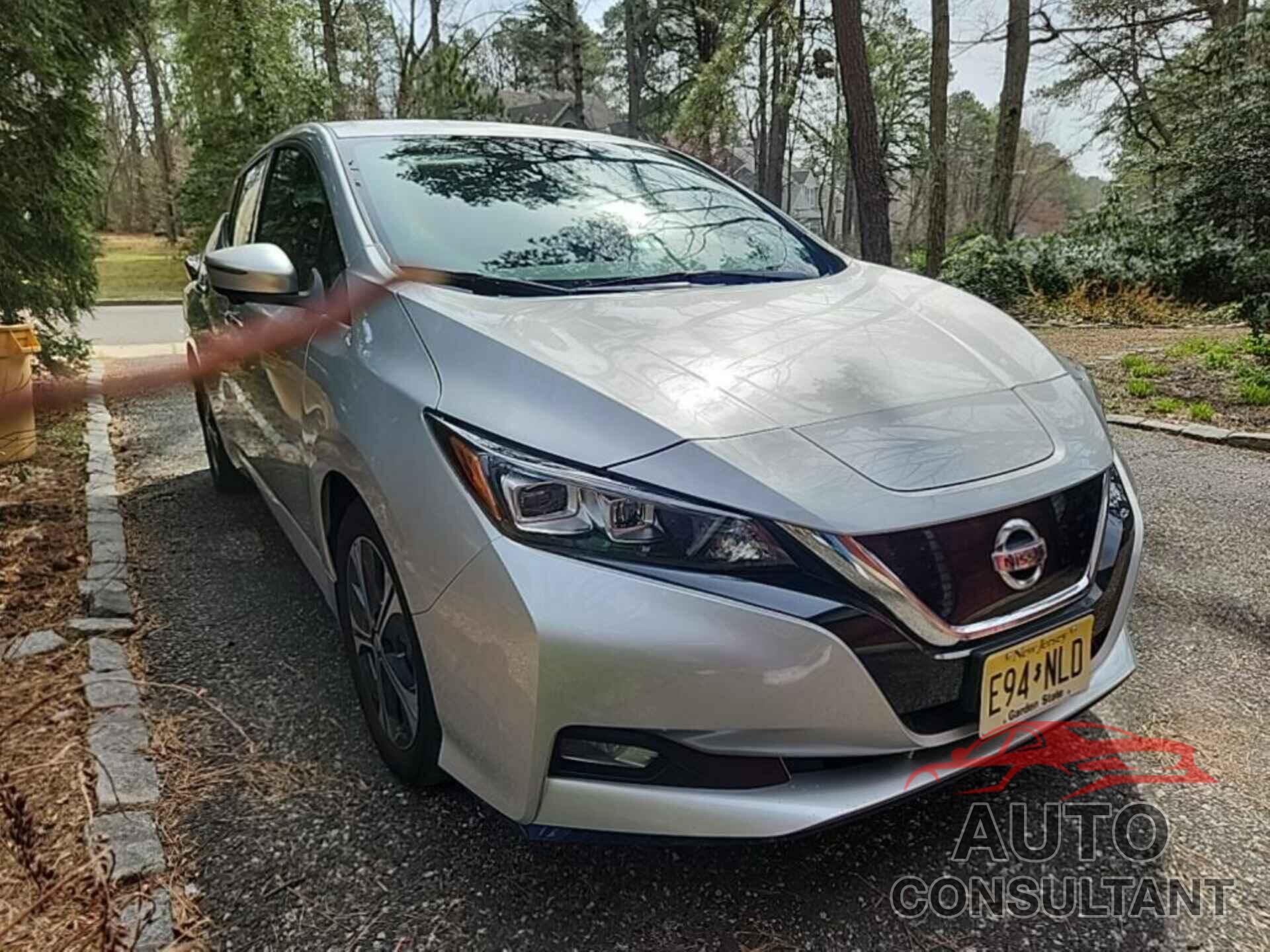 NISSAN LEAF 2020 - 1N4BZ1DPXLC304134