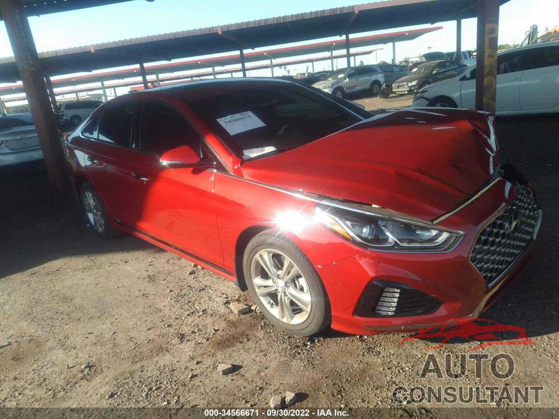 HYUNDAI SONATA 2019 - 5NPE34AF8KH816757