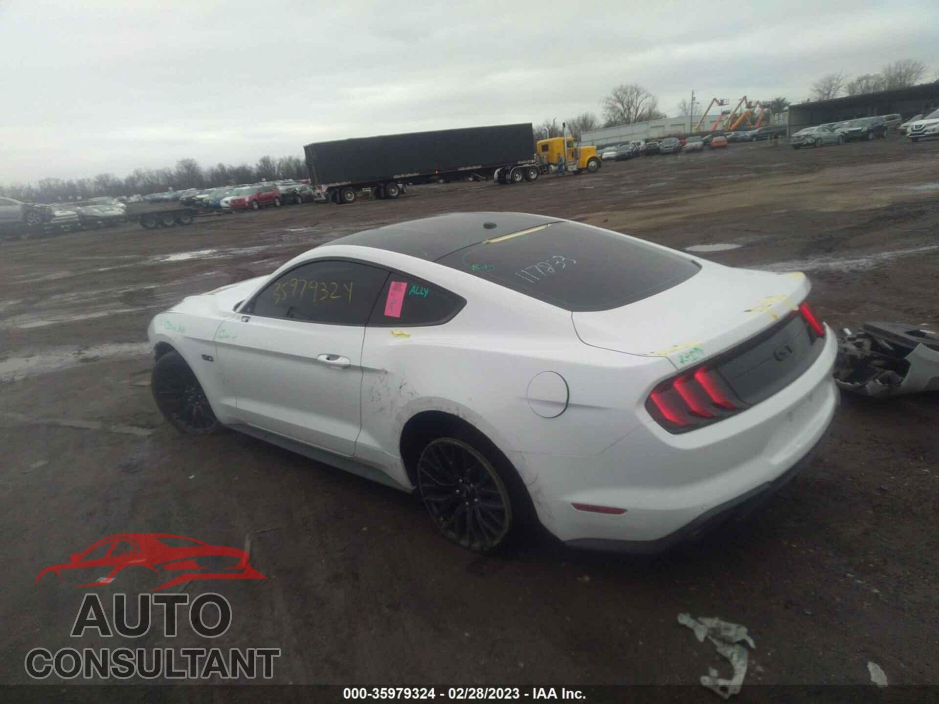 FORD MUSTANG 2019 - 1FA6P8CF5K5117833