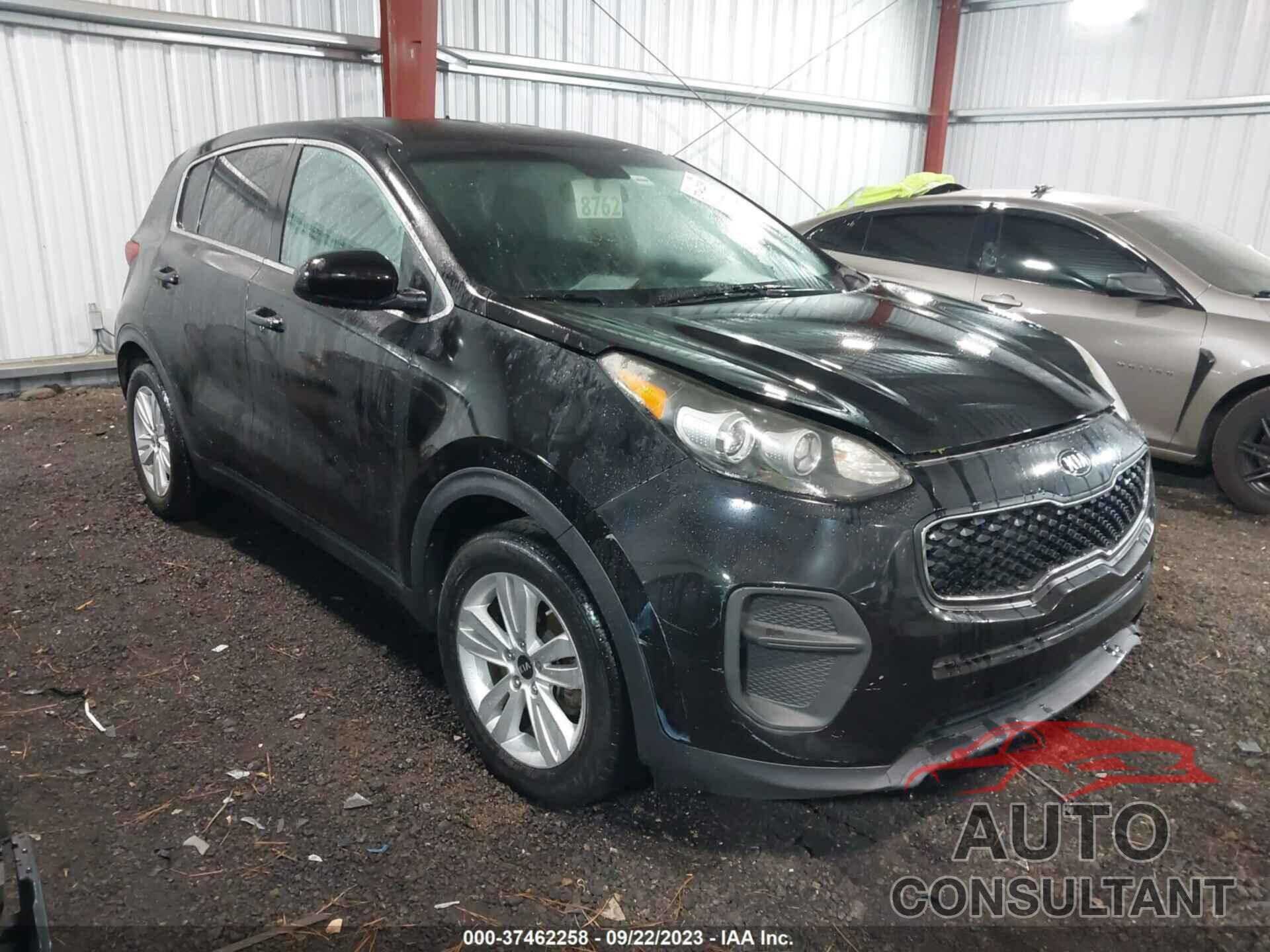 KIA SPORTAGE 2017 - KNDPM3AC7H7298451