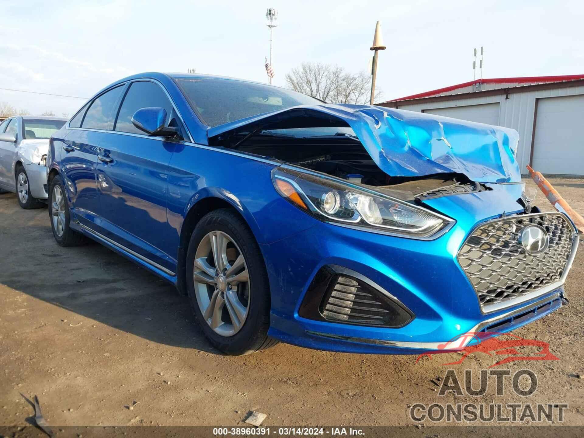 HYUNDAI SONATA 2019 - 5NPE34AF6KH771303