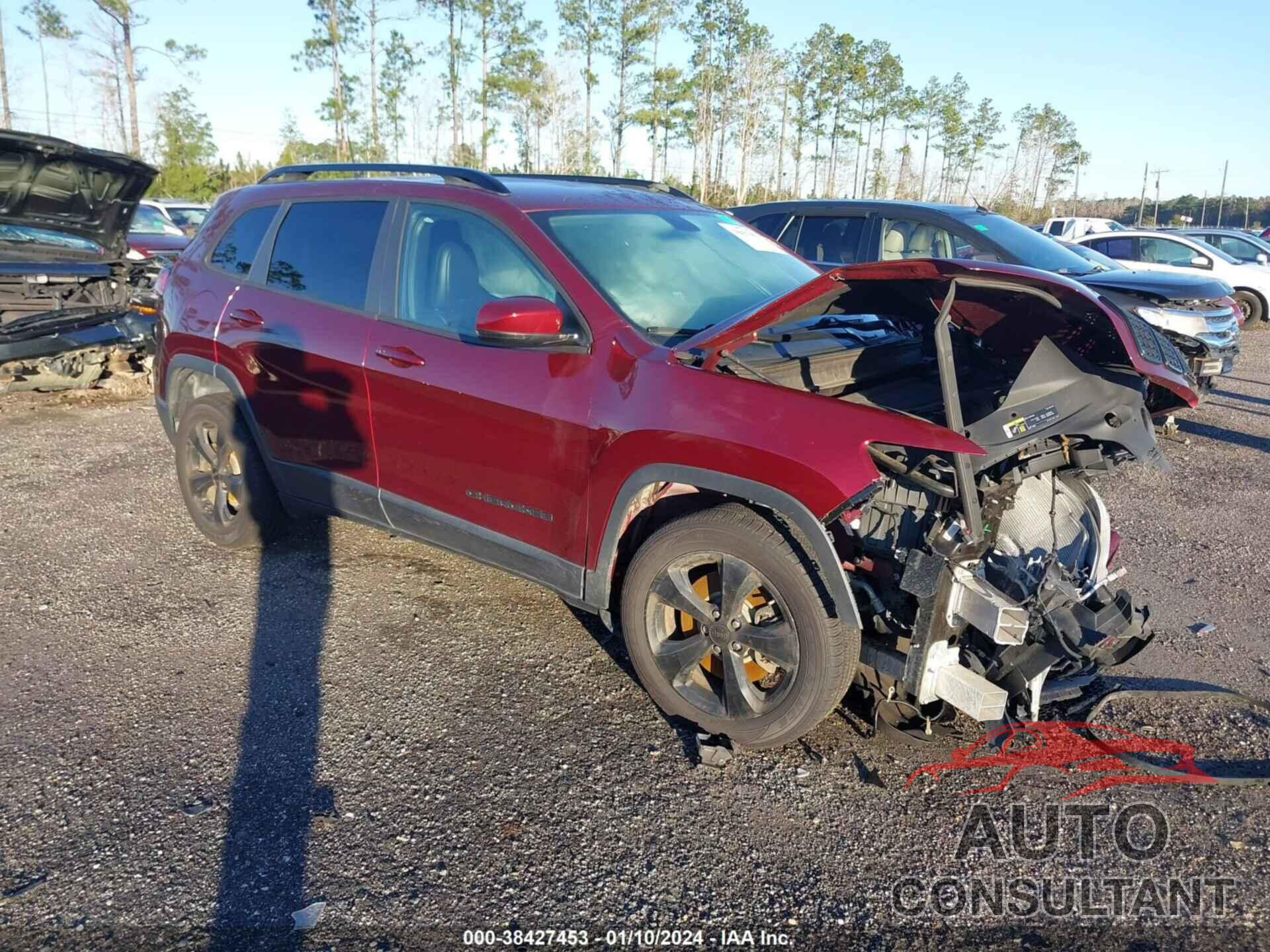 JEEP CHEROKEE 2019 - 1C4PJLLB4KD338720