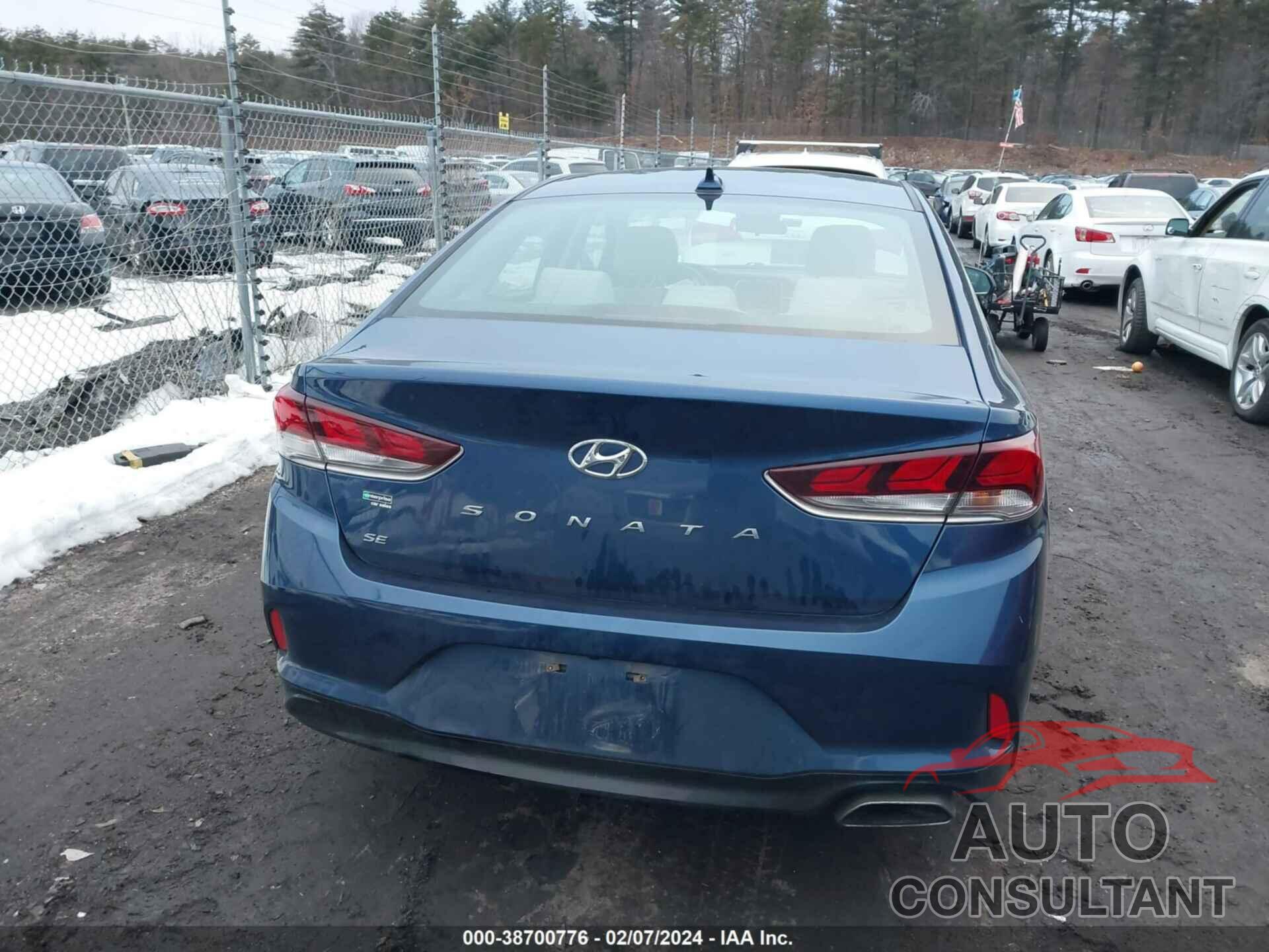 HYUNDAI SONATA 2019 - 5NPE24AF4KH777135