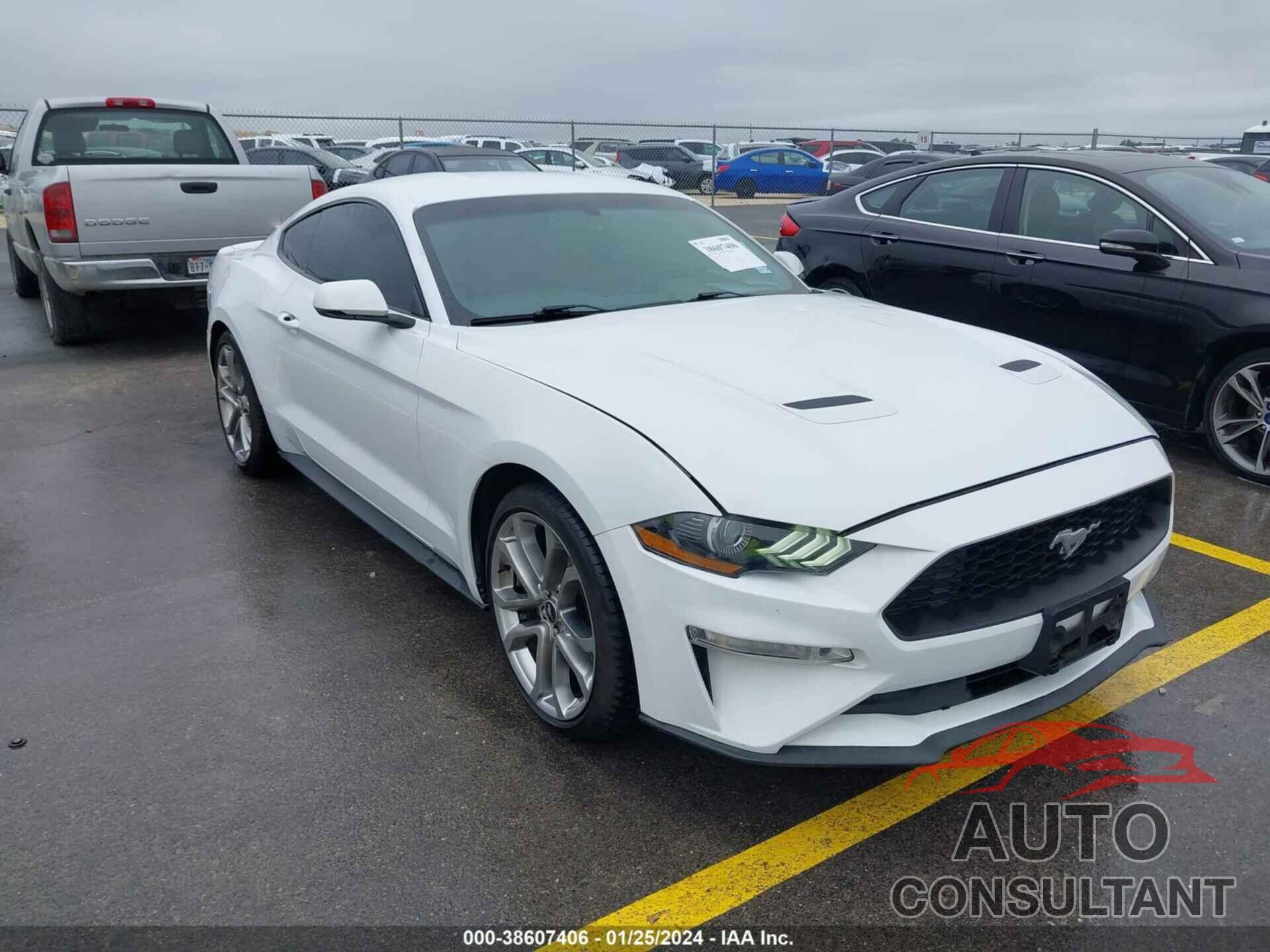 FORD MUSTANG 2019 - 1FA6P8TH7K5134053