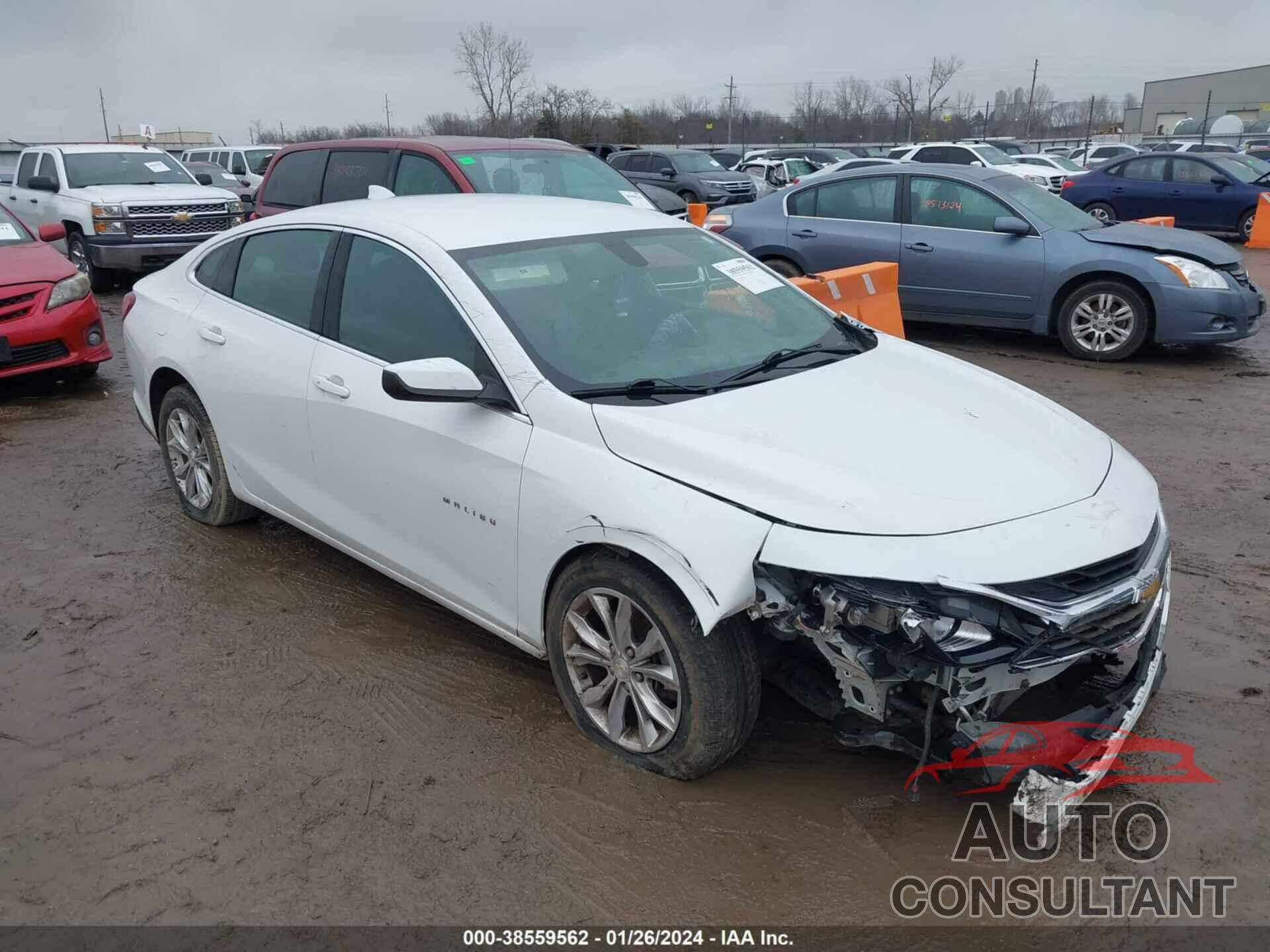 CHEVROLET MALIBU 2019 - 1G1ZD5ST3KF134185