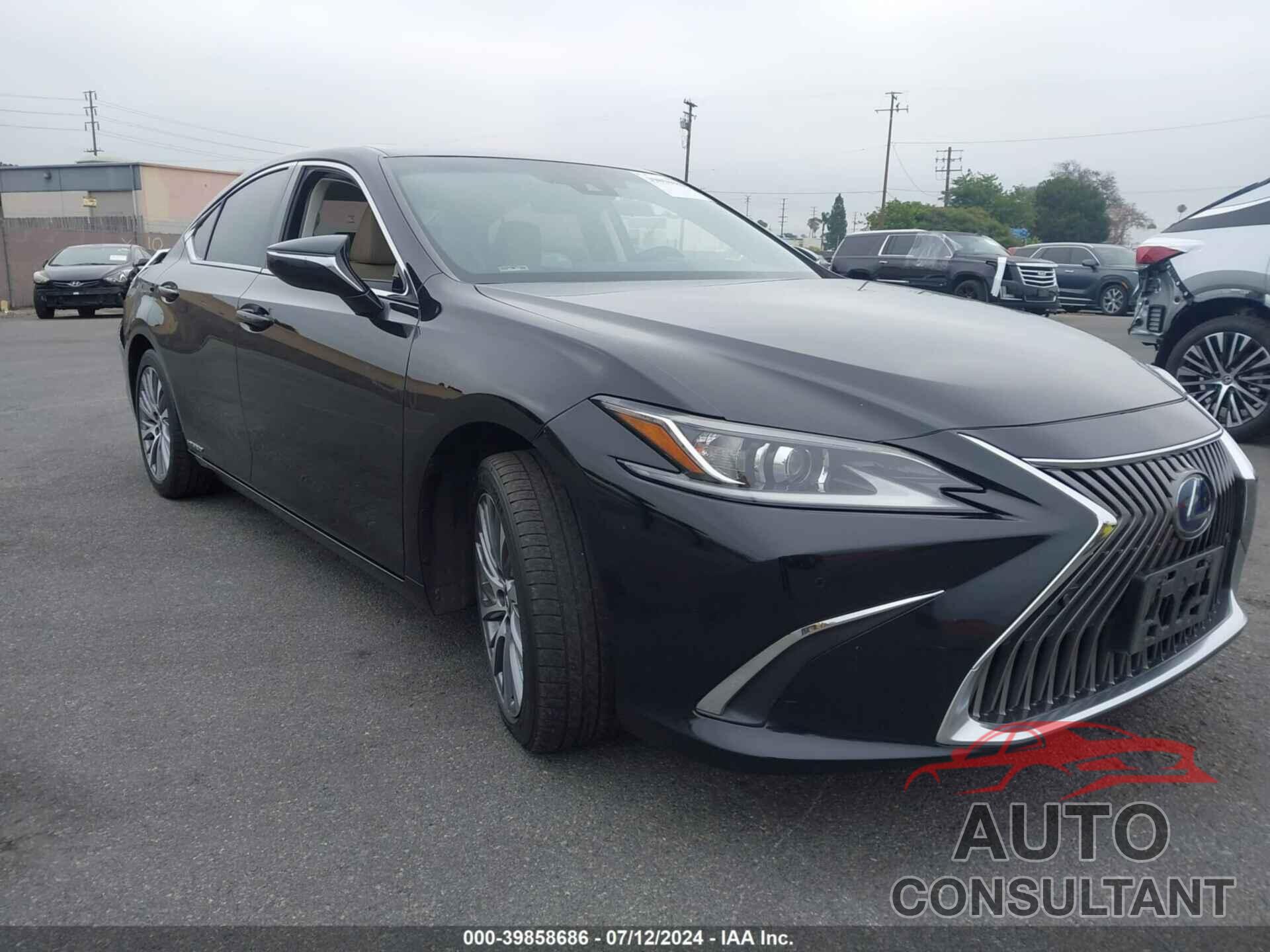 LEXUS ES 300H 2020 - 58AD21B19LU007117