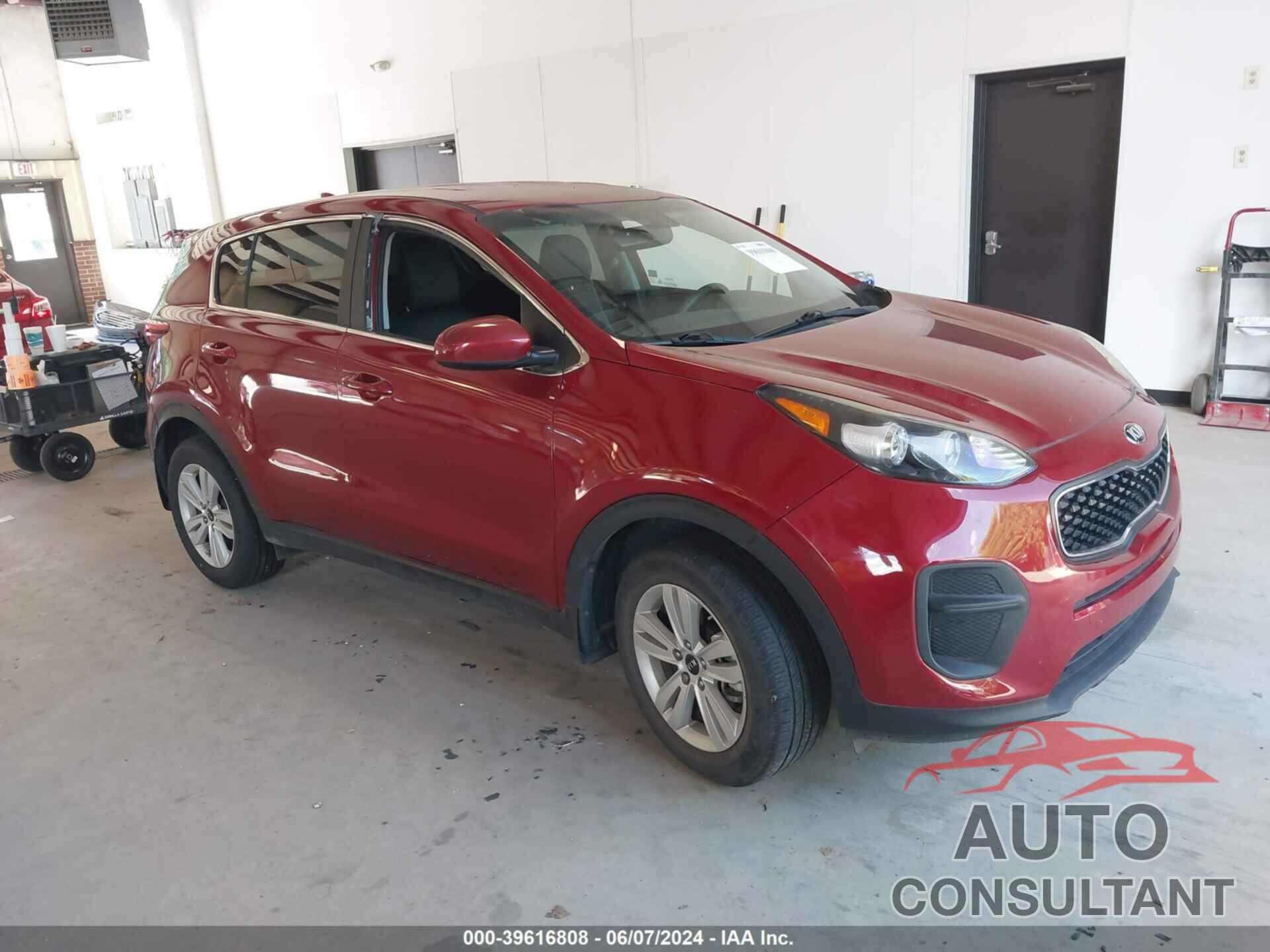 KIA SPORTAGE 2019 - KNDPM3AC7K7537505