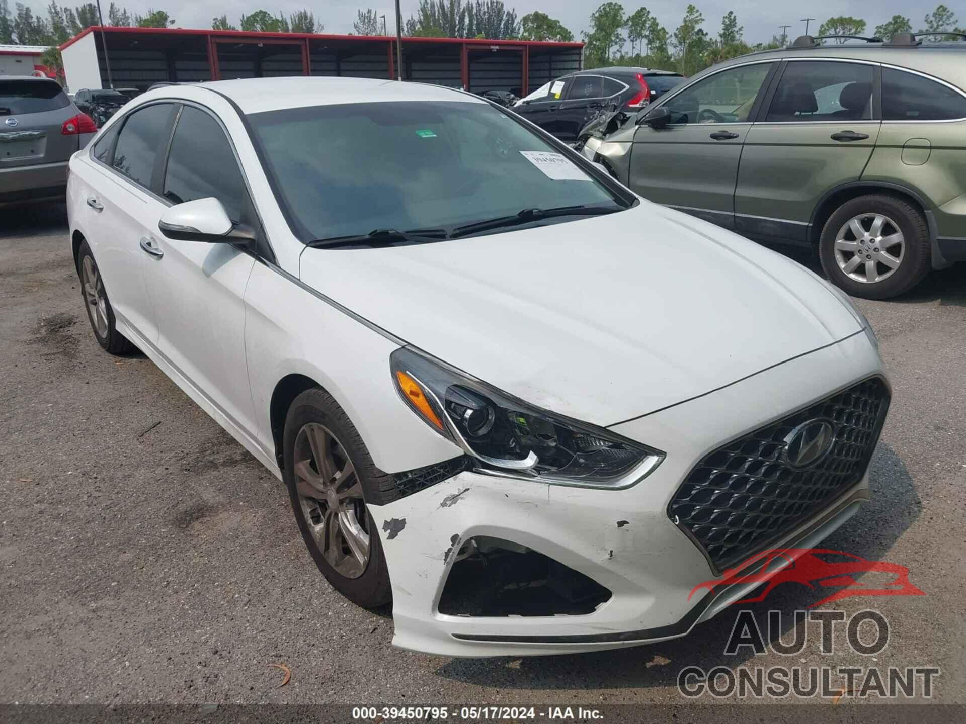 HYUNDAI SONATA 2019 - 5NPE34AF3KH780024