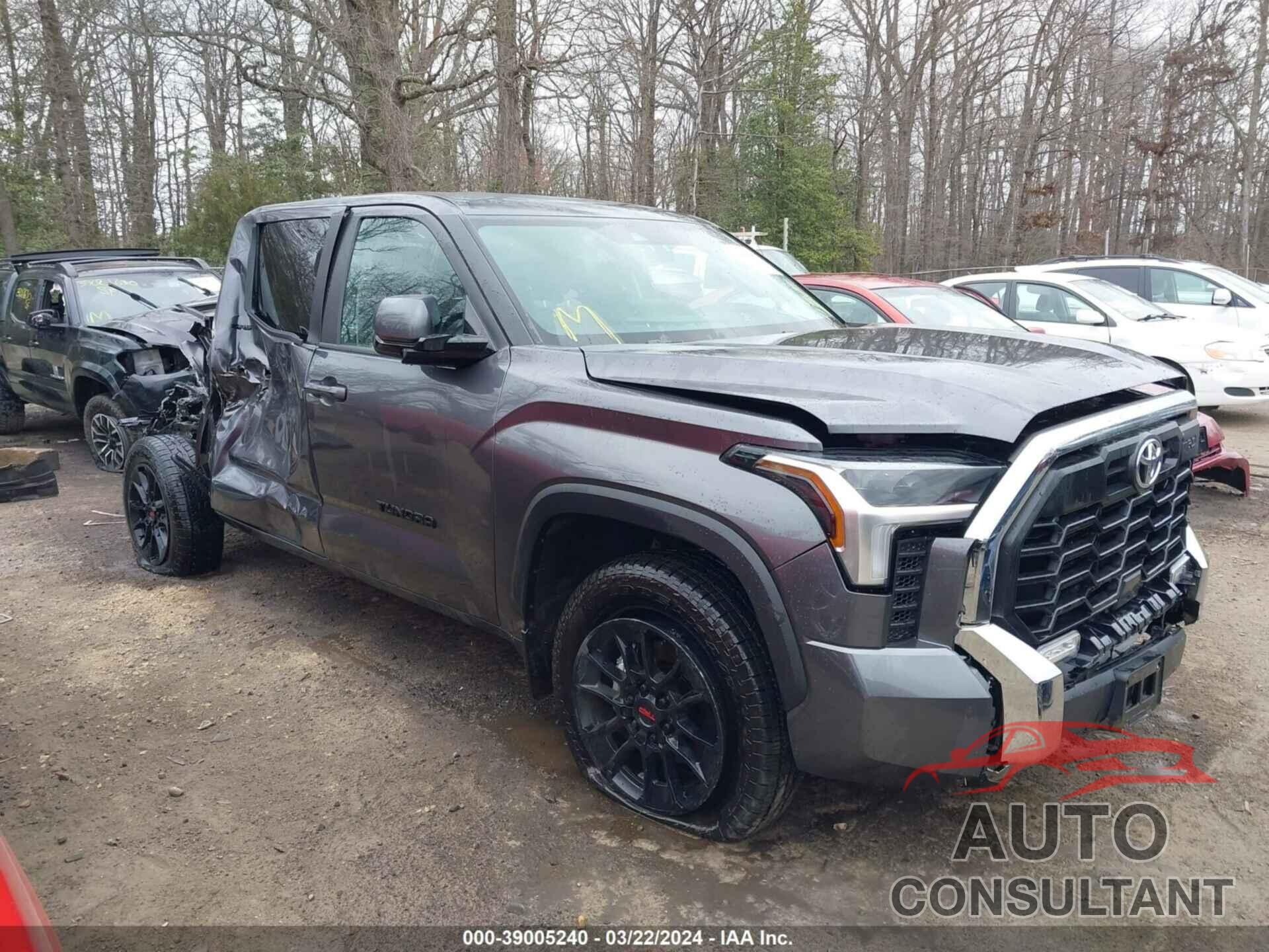 TOYOTA TUNDRA 2024 - 5TFLA5DB2RX132829