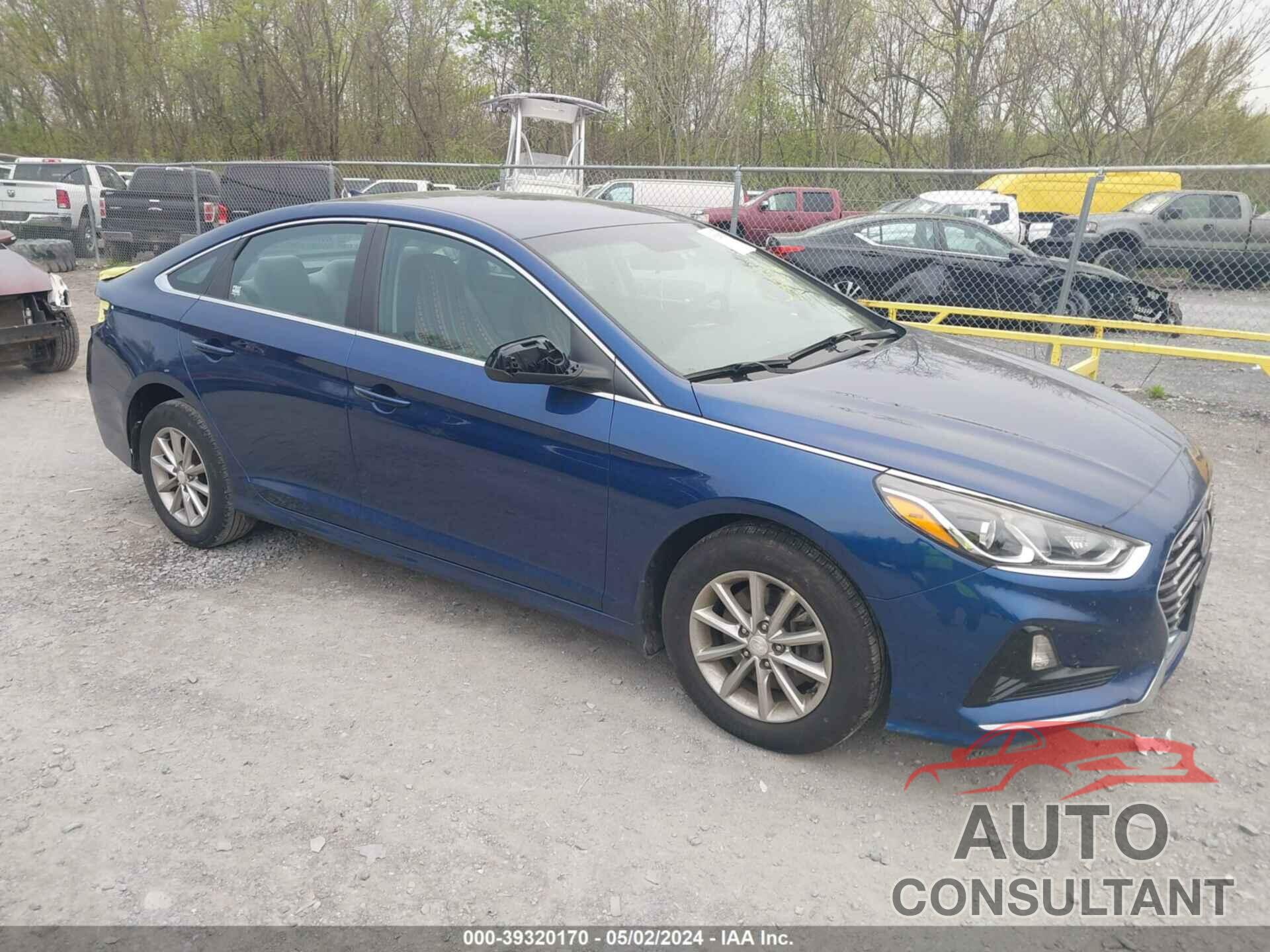 HYUNDAI SONATA 2019 - 5NPE24AF7KH733372