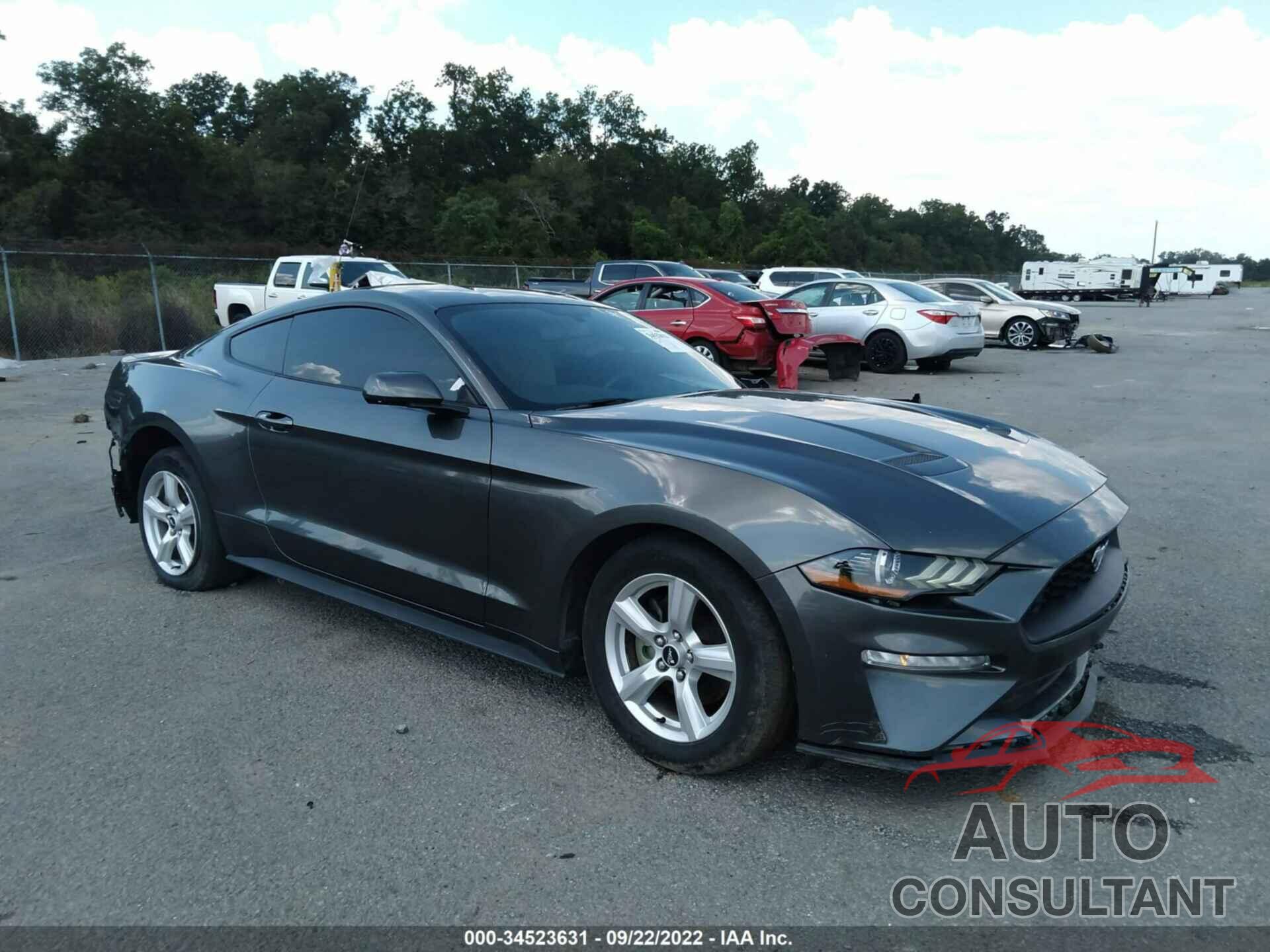 FORD MUSTANG 2019 - 1FA6P8TH4K5166667