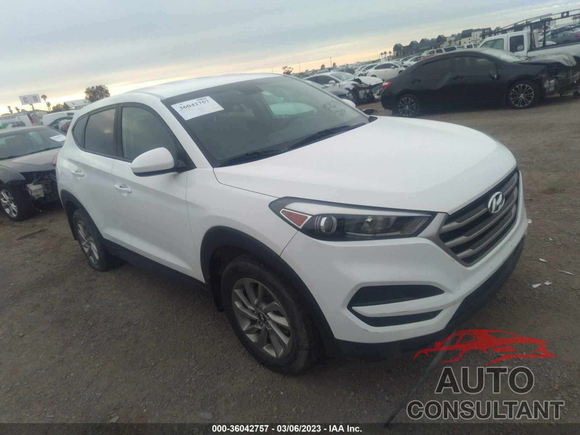 HYUNDAI TUCSON 2017 - KM8J23A46HU439950