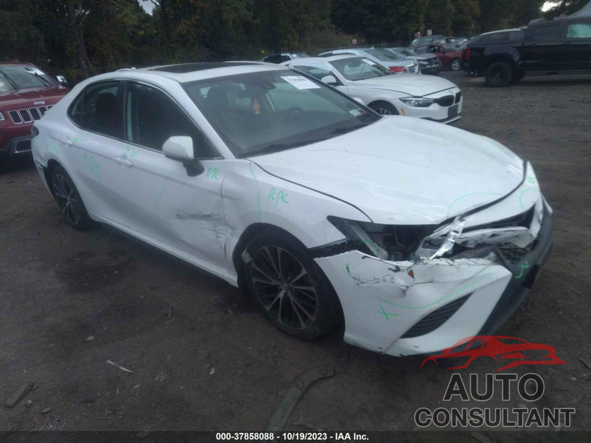 TOYOTA CAMRY 2019 - 4T1B11HK1KU769132