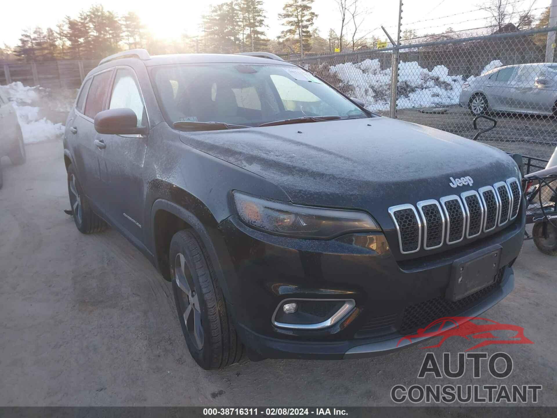 JEEP CHEROKEE 2019 - 1C4PJMDN1KD356817