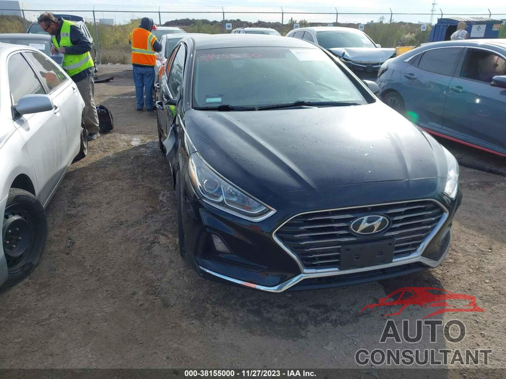 HYUNDAI SONATA 2019 - 5NPE24AF8KH737060