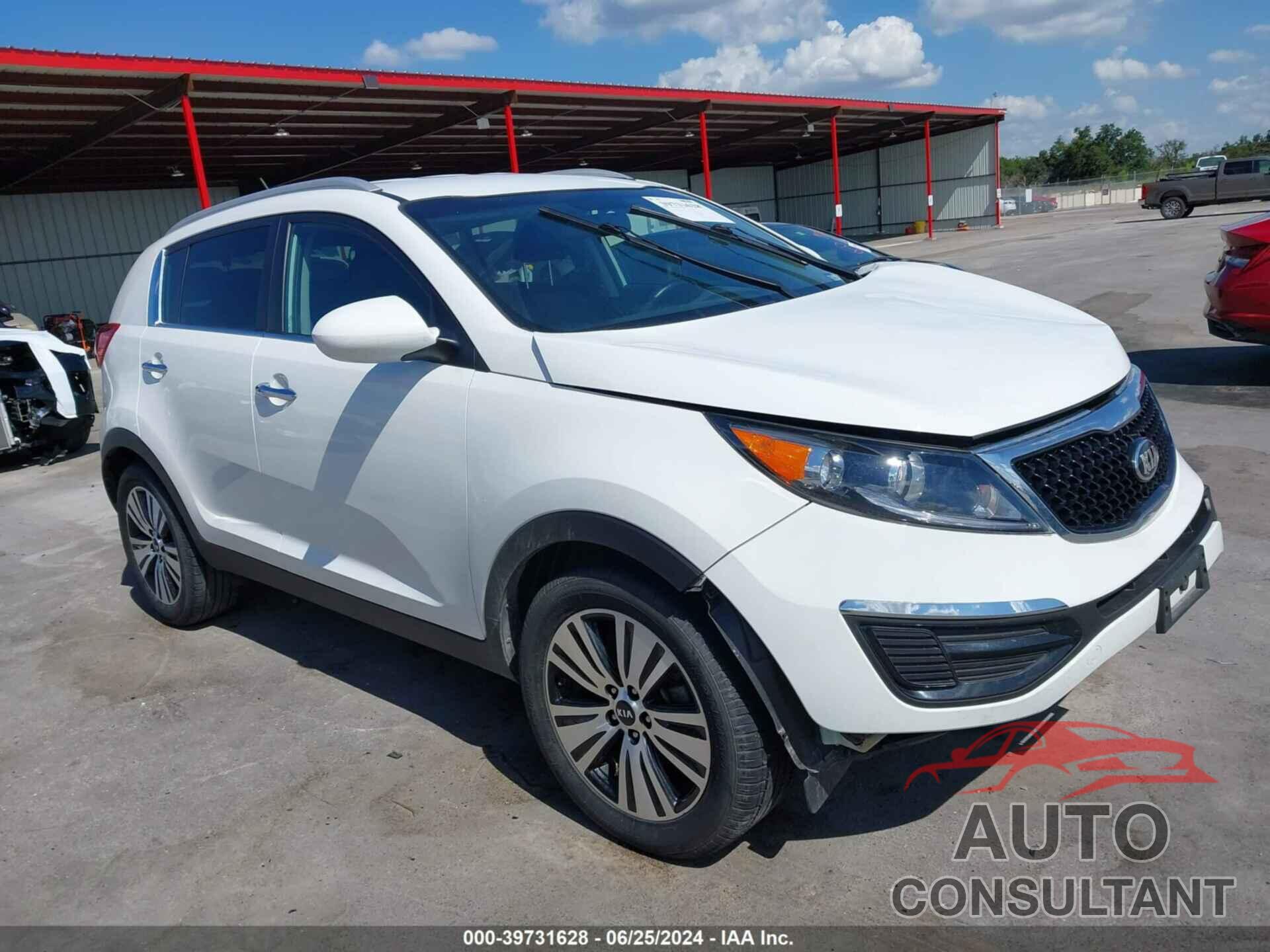 KIA SPORTAGE 2016 - KNDPC3AC4G7837884