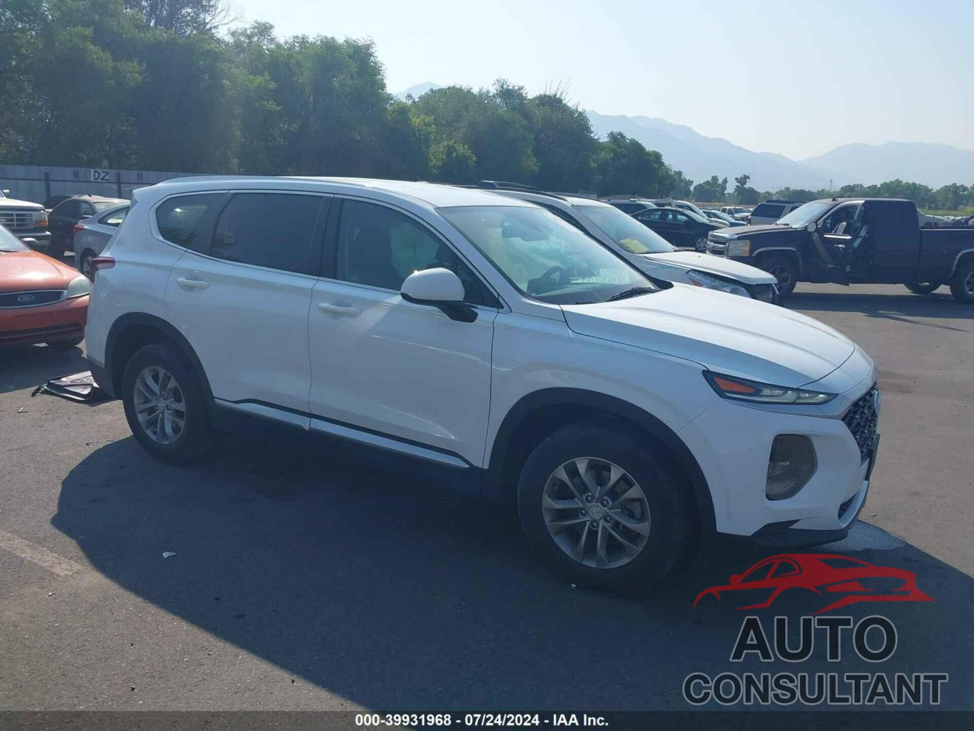 HYUNDAI SANTA FE 2019 - 5NMS2CAD2KH030125