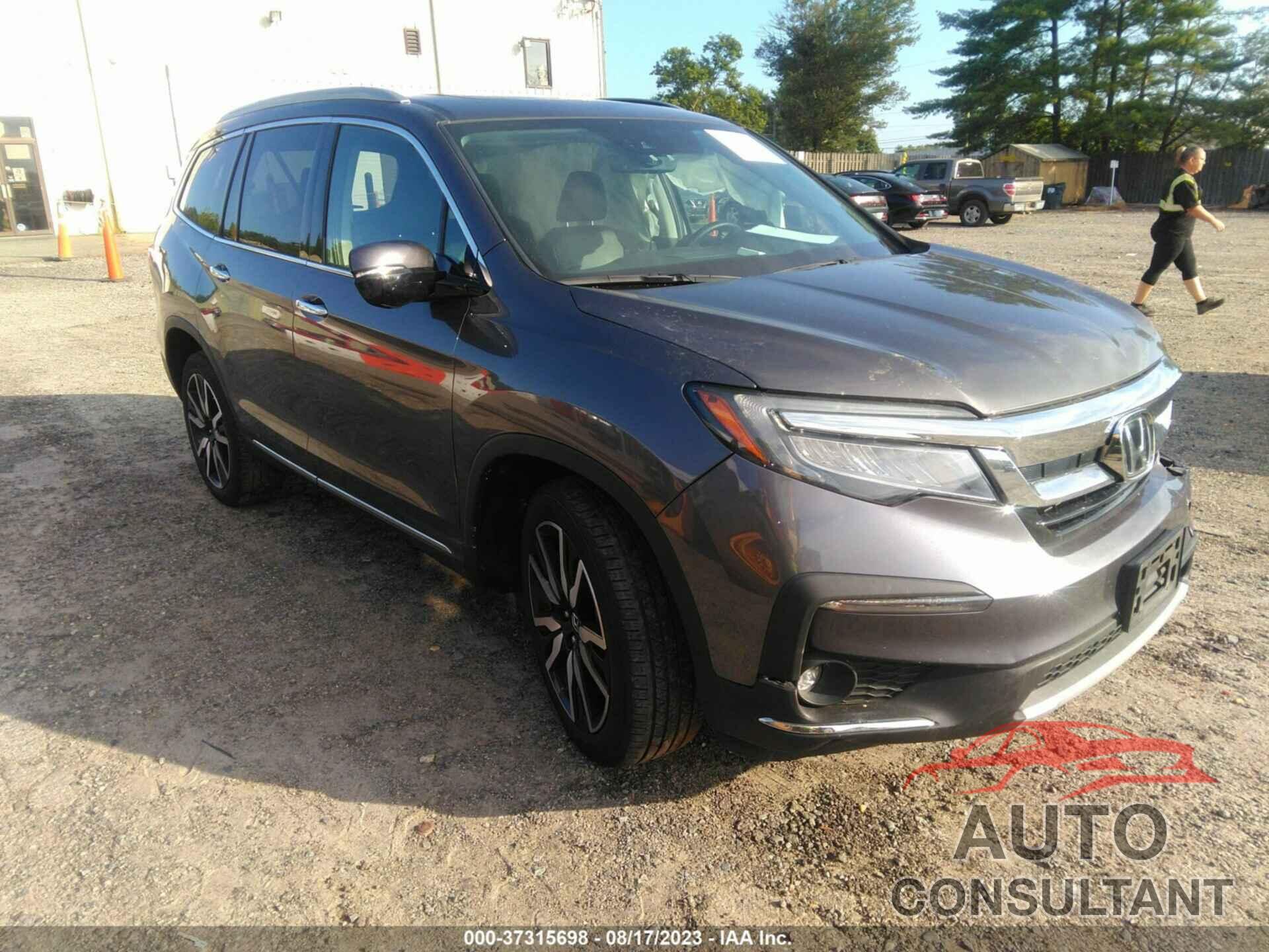 HONDA PILOT 2019 - 5FNYF6H04KB069559