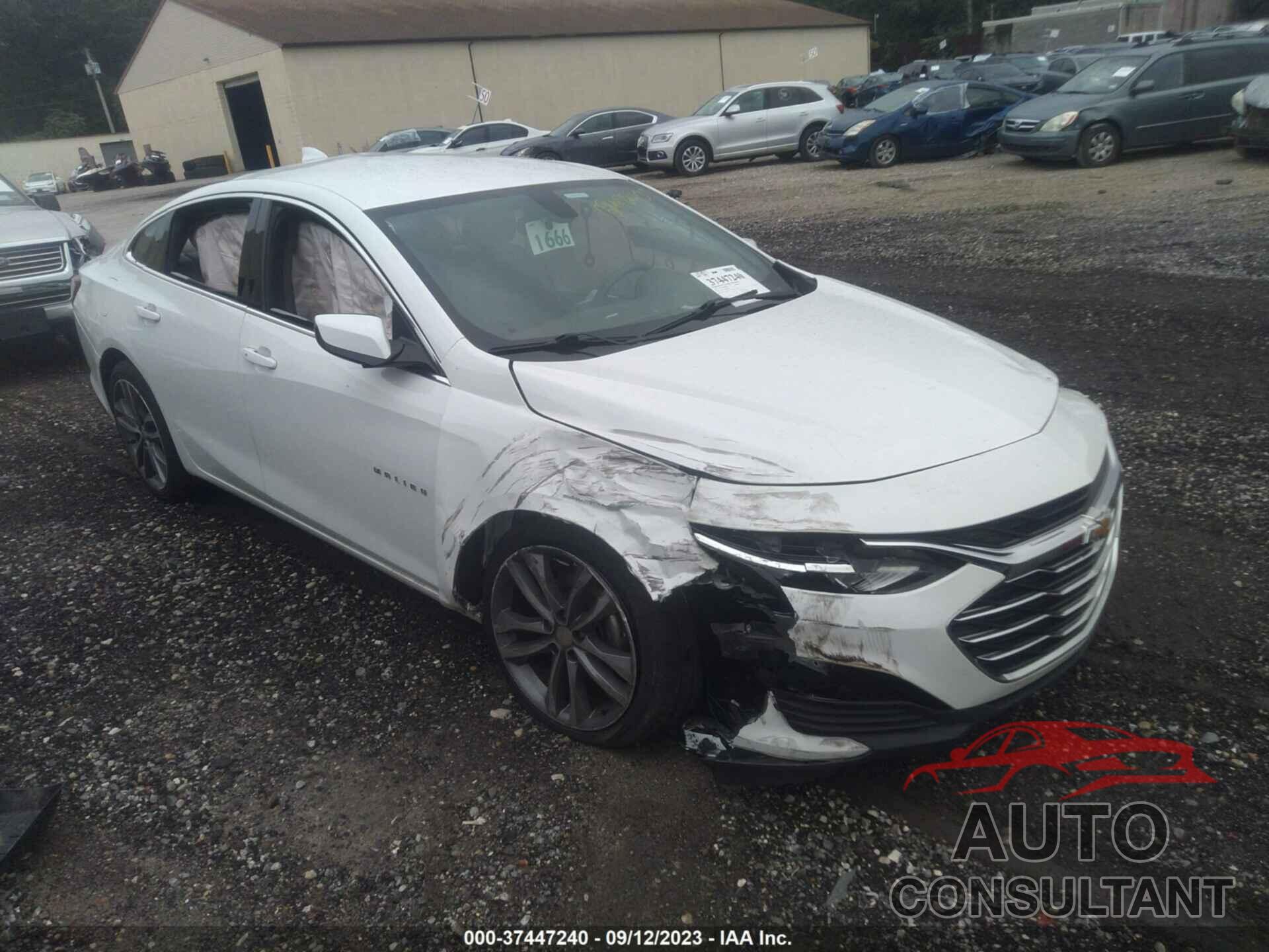 CHEVROLET MALIBU 2021 - 1G1ZD5ST7MF005871