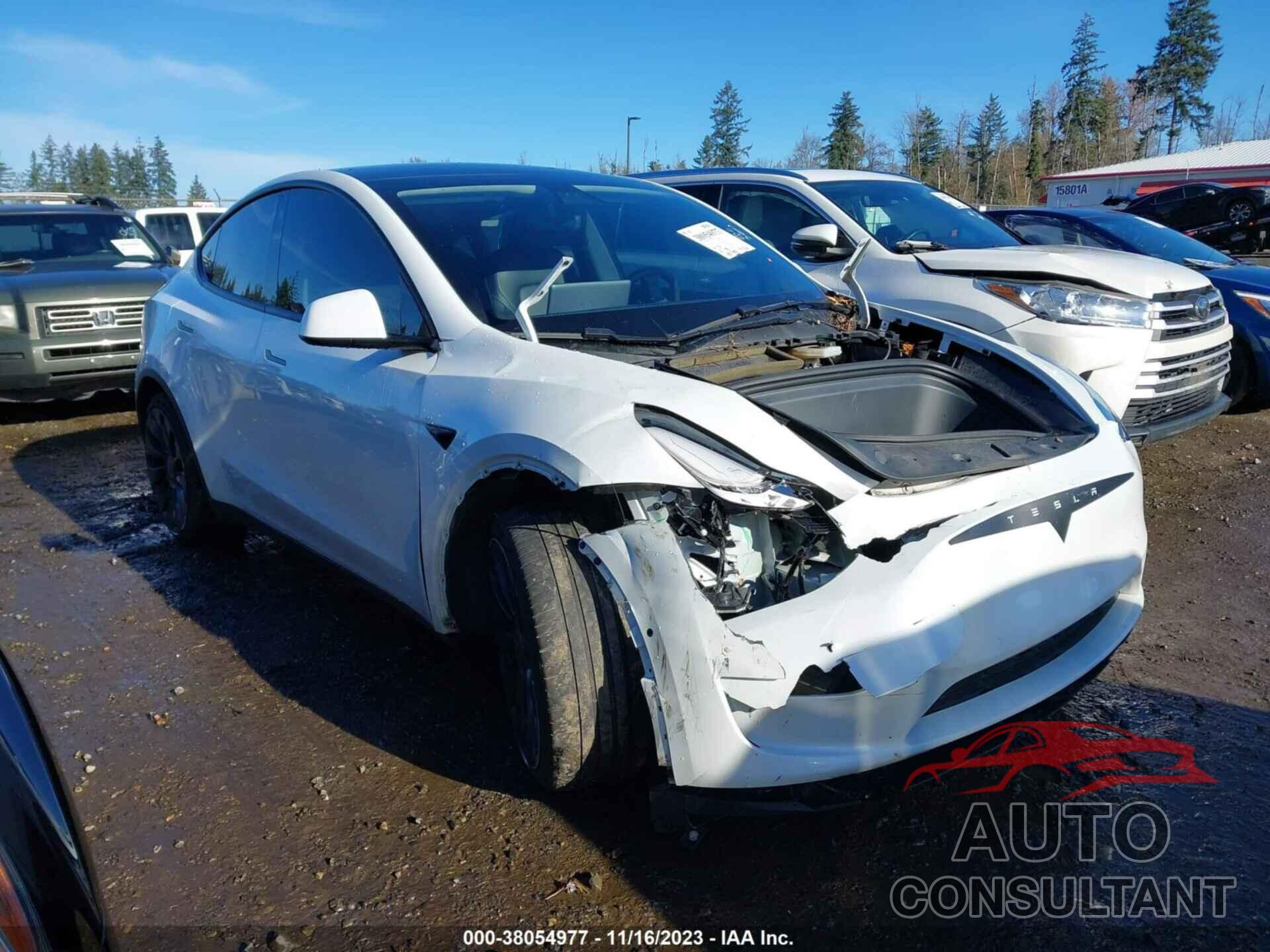 TESLA MODEL Y 2021 - 5YJYGDEE0MF087805