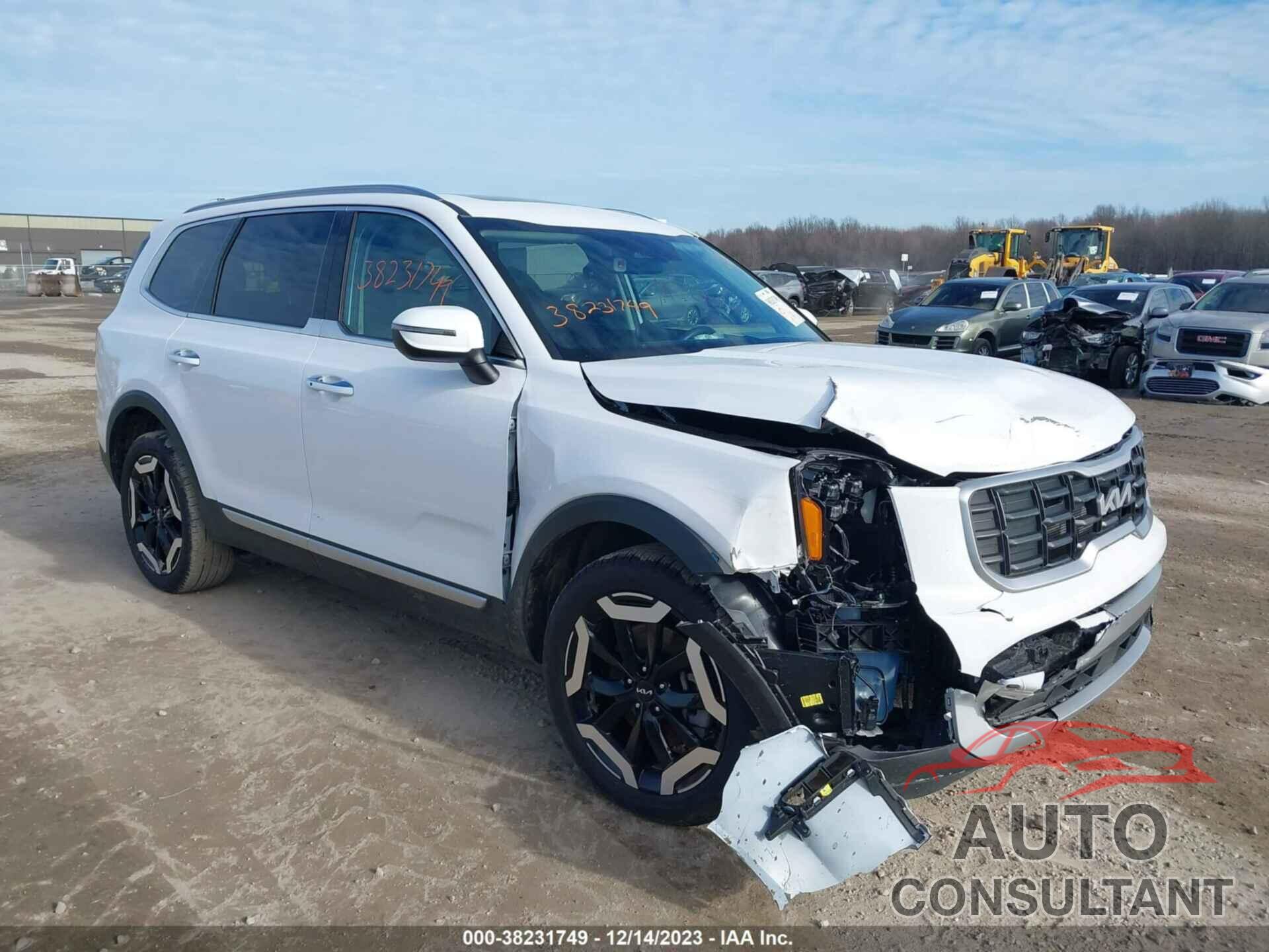 KIA TELLURIDE 2024 - 5XYP6DGCXRG412714