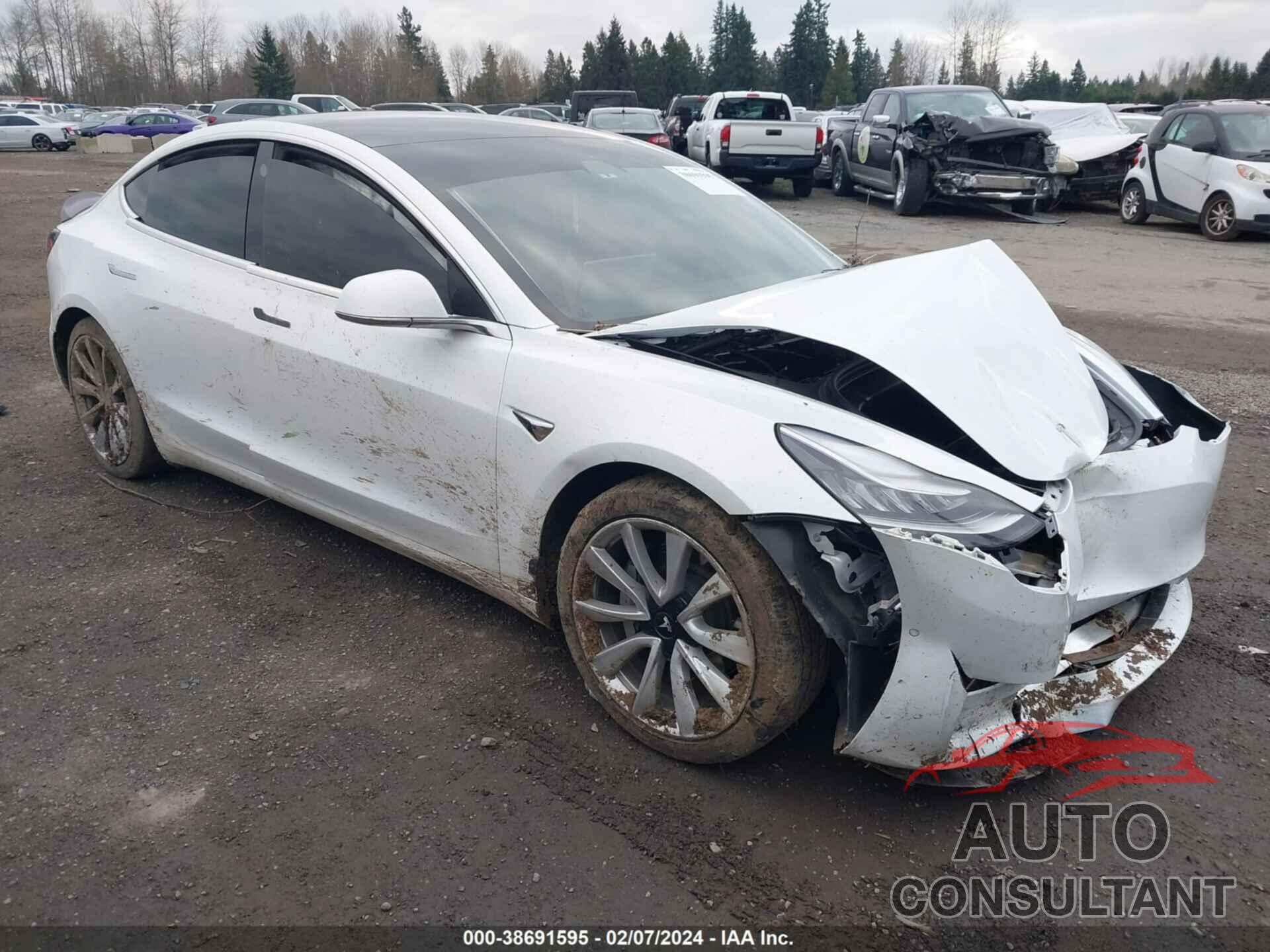 TESLA MODEL 3 2019 - 5YJ3E1EB1KF421891