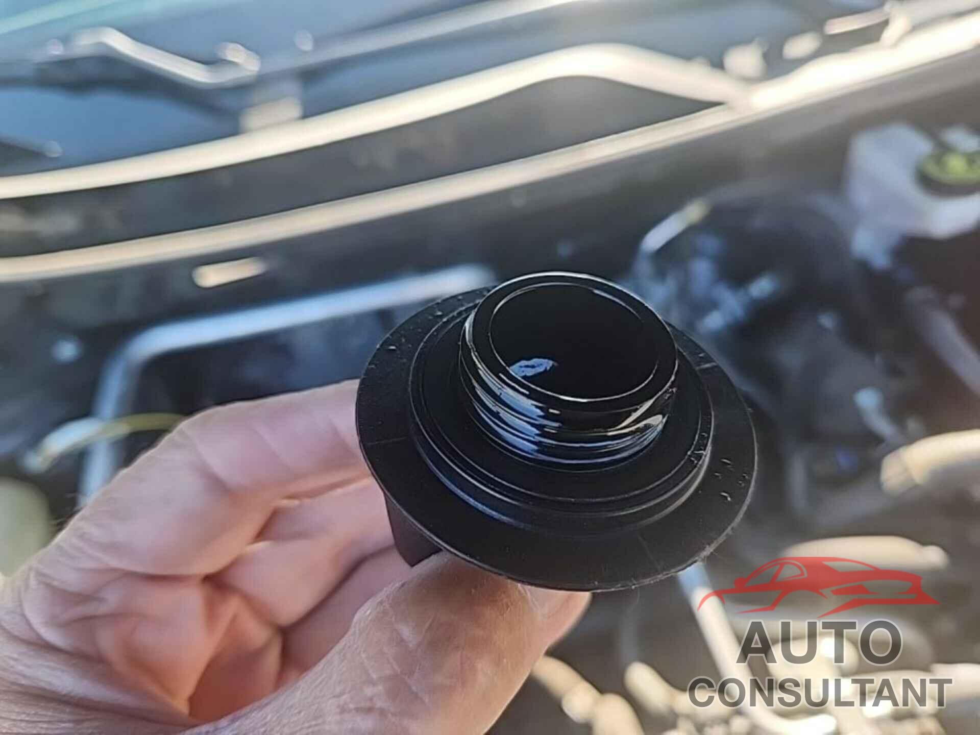 NISSAN ROGUE 2021 - 5N1AT3BB6MC782395