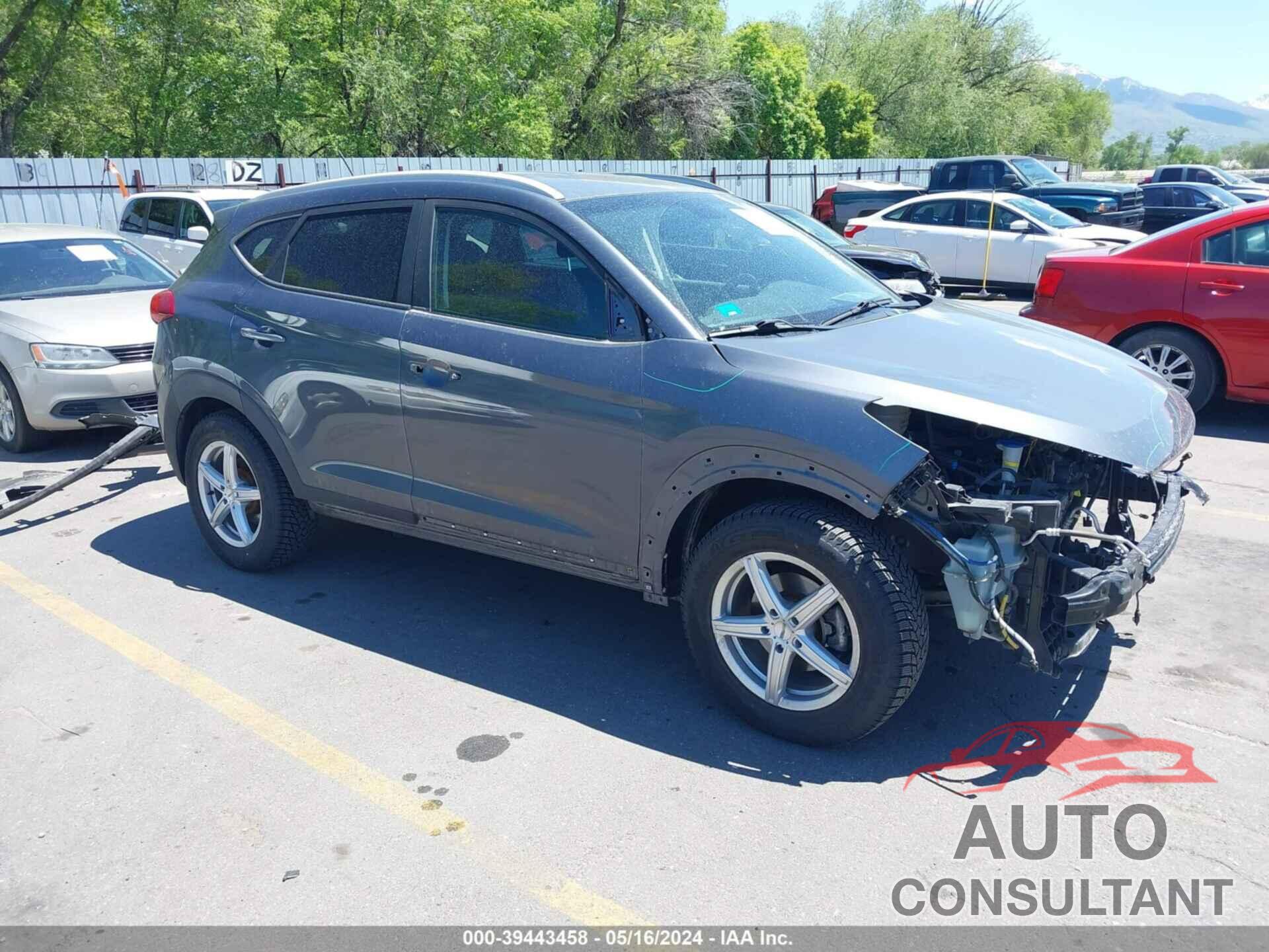 HYUNDAI TUCSON 2017 - KM8J33A22HU357516