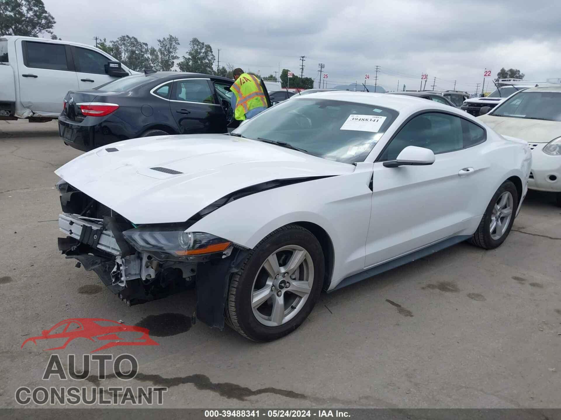 FORD MUSTANG 2019 - 1FA6P8TH0K5176497