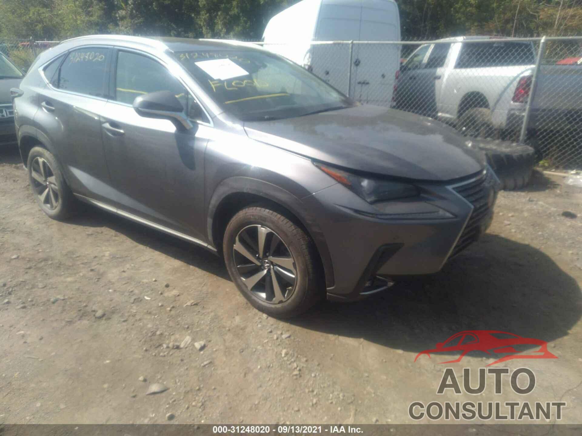 LEXUS NX 2019 - JTJBARBZ8K2217256