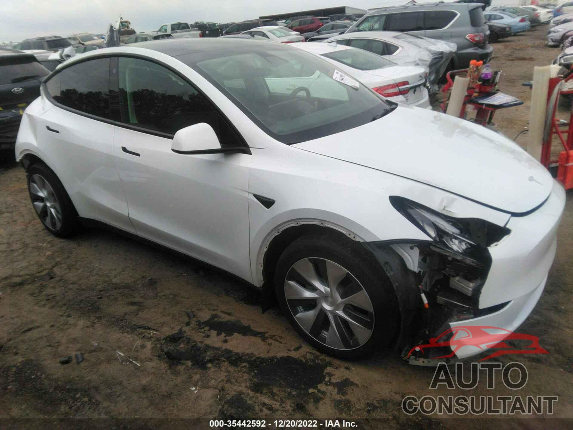 TESLA MODEL Y 2021 - 5YJYGDEE0MF117904