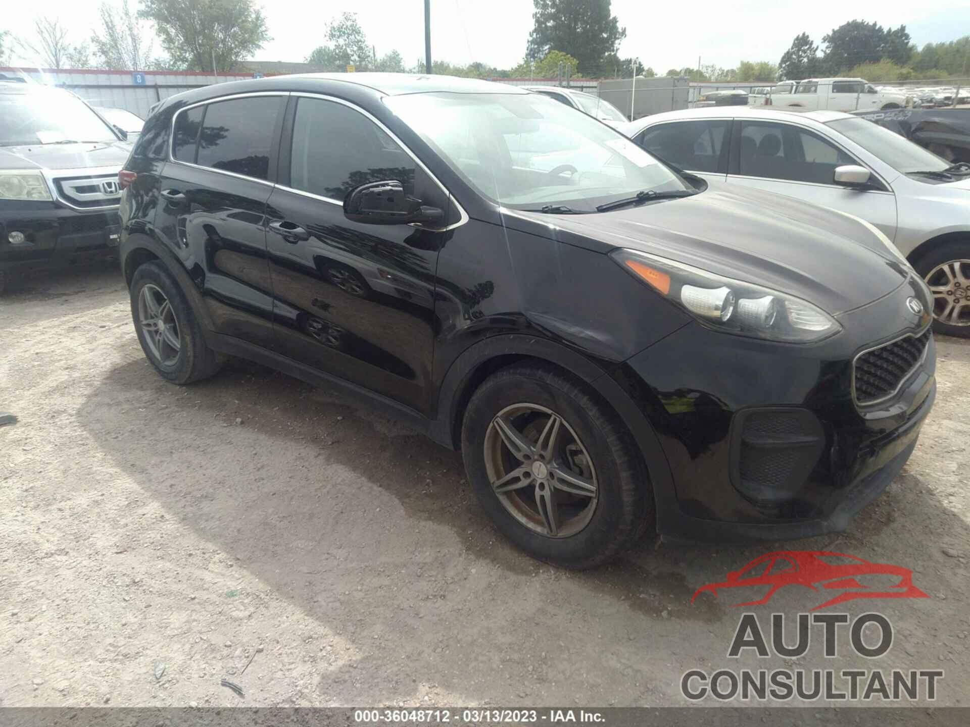 KIA SPORTAGE 2019 - KNDPM3AC3K7531667