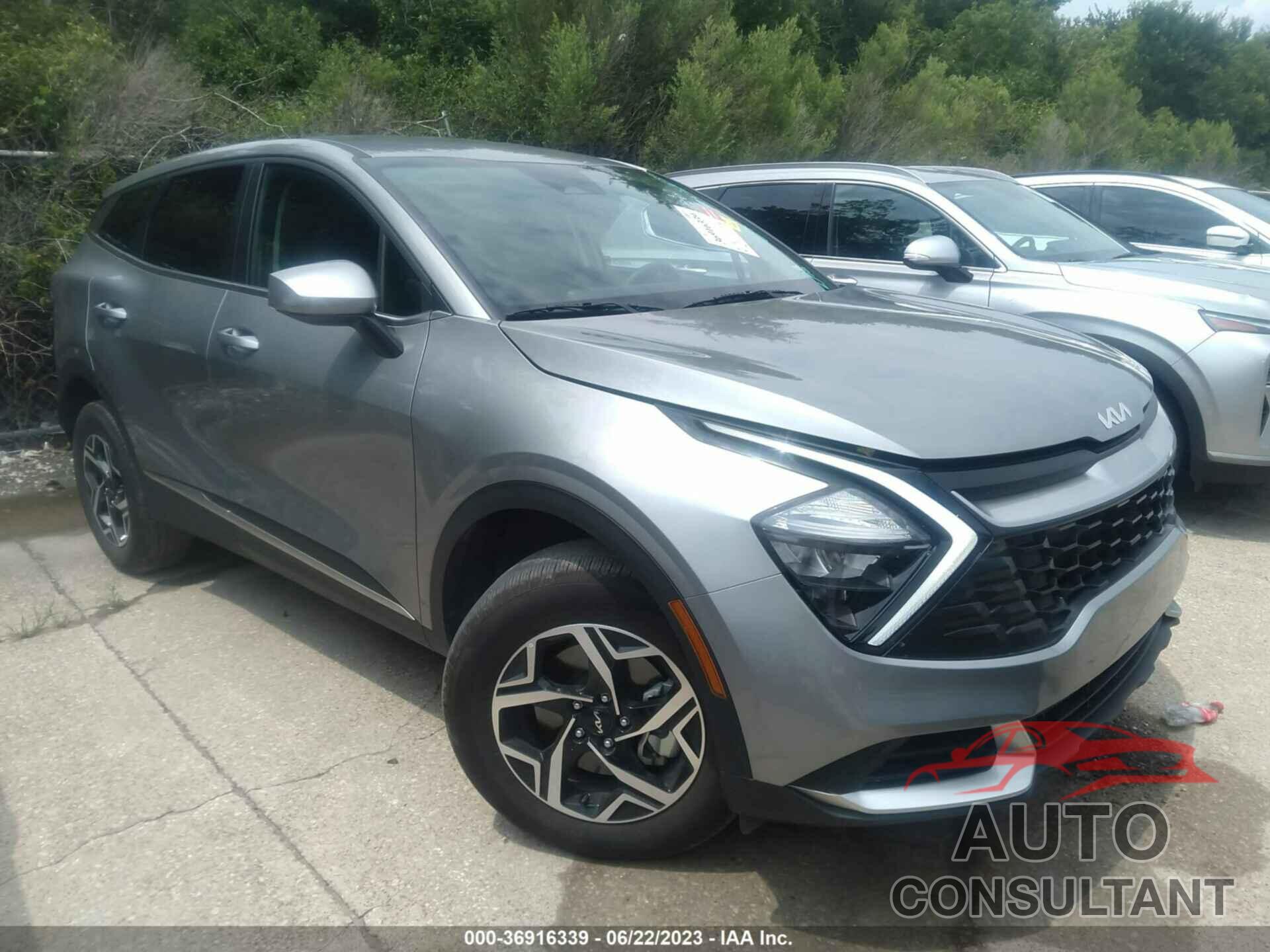 KIA SPORTAGE 2023 - KNDPUCAF6P7136268