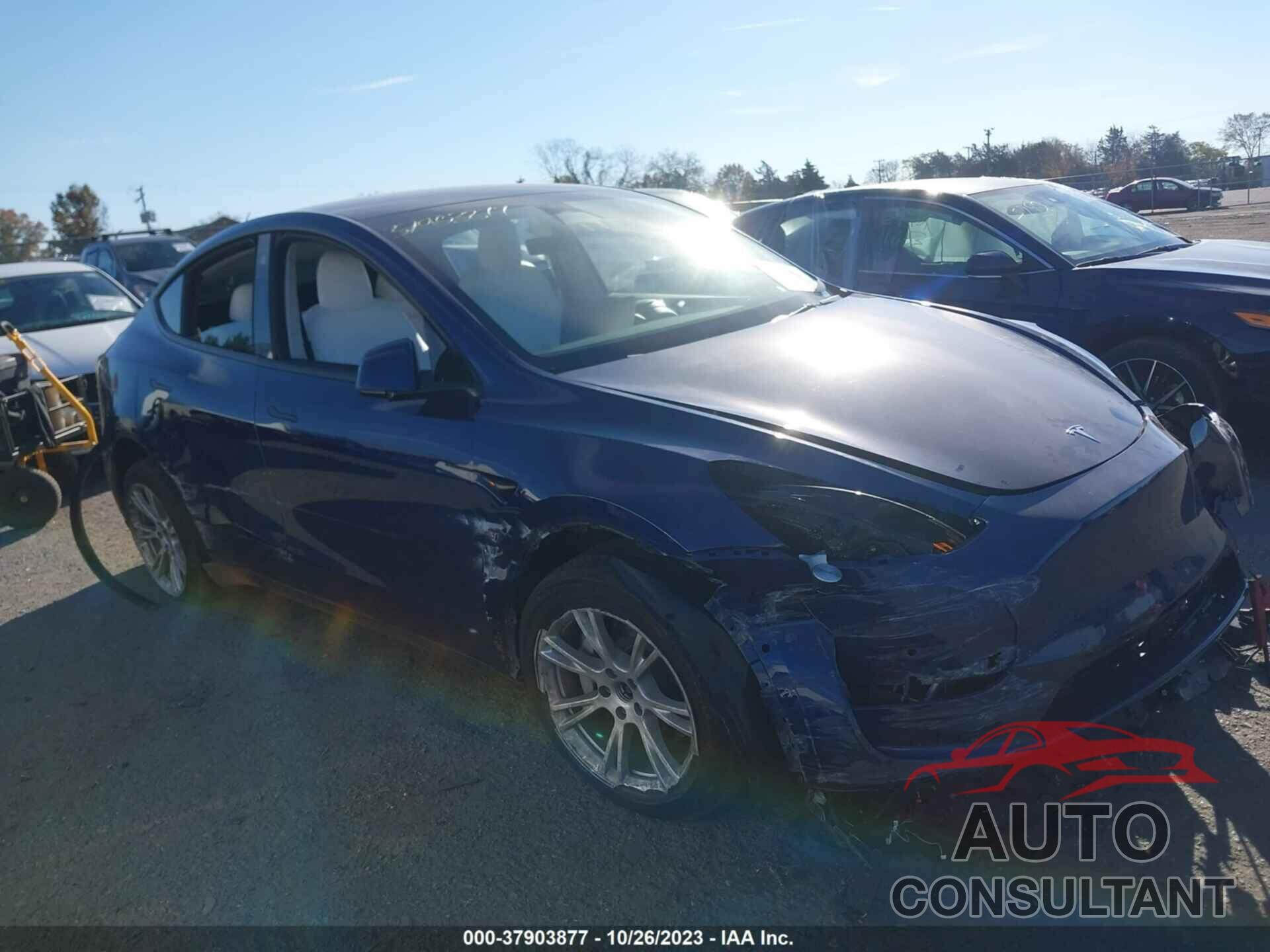 TESLA MODEL Y 2022 - 7SAYGDEE1NF522559
