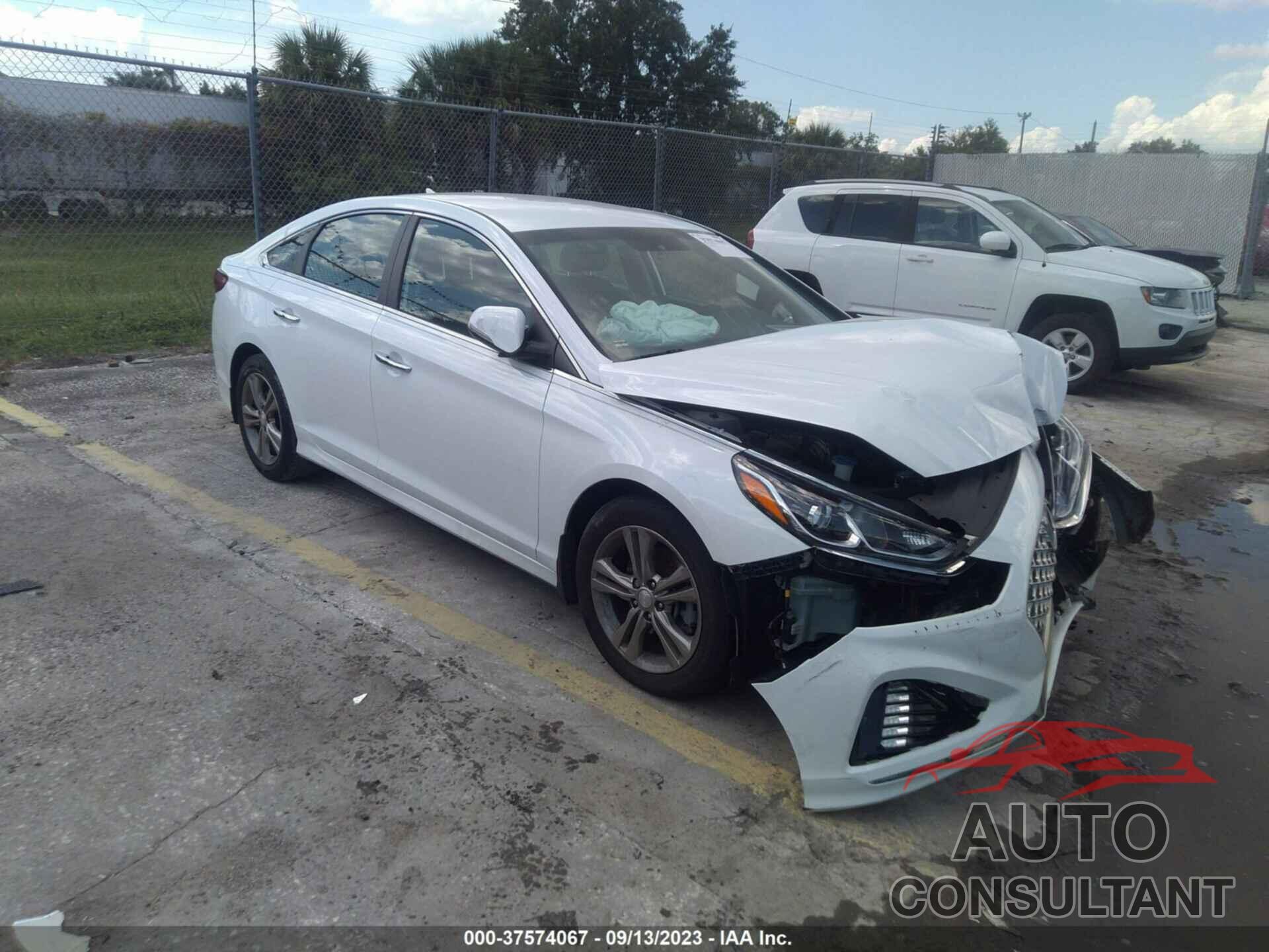 HYUNDAI SONATA 2019 - 5NPE34AF6KH801450