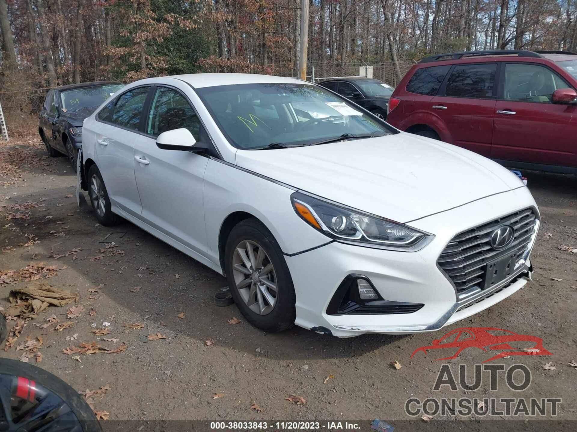 HYUNDAI SONATA 2019 - 5NPE24AF1KH777769