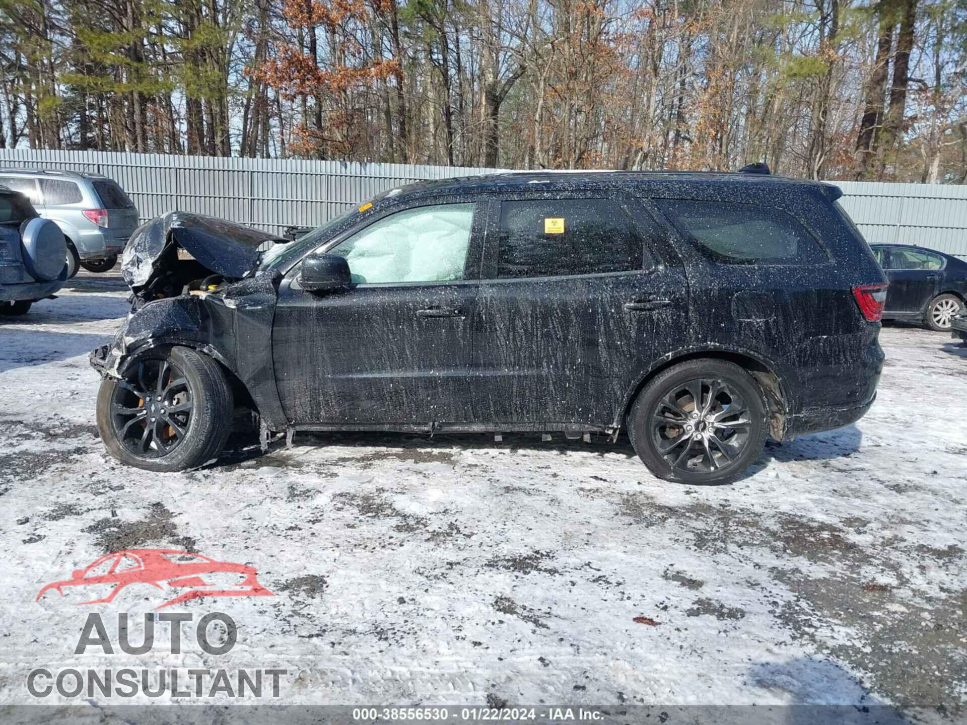 DODGE DURANGO 2019 - 1C4RDJDG3KC664500