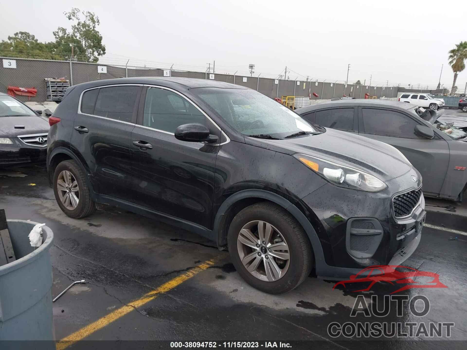 KIA SPORTAGE 2017 - KNDPM3AC9H7147787