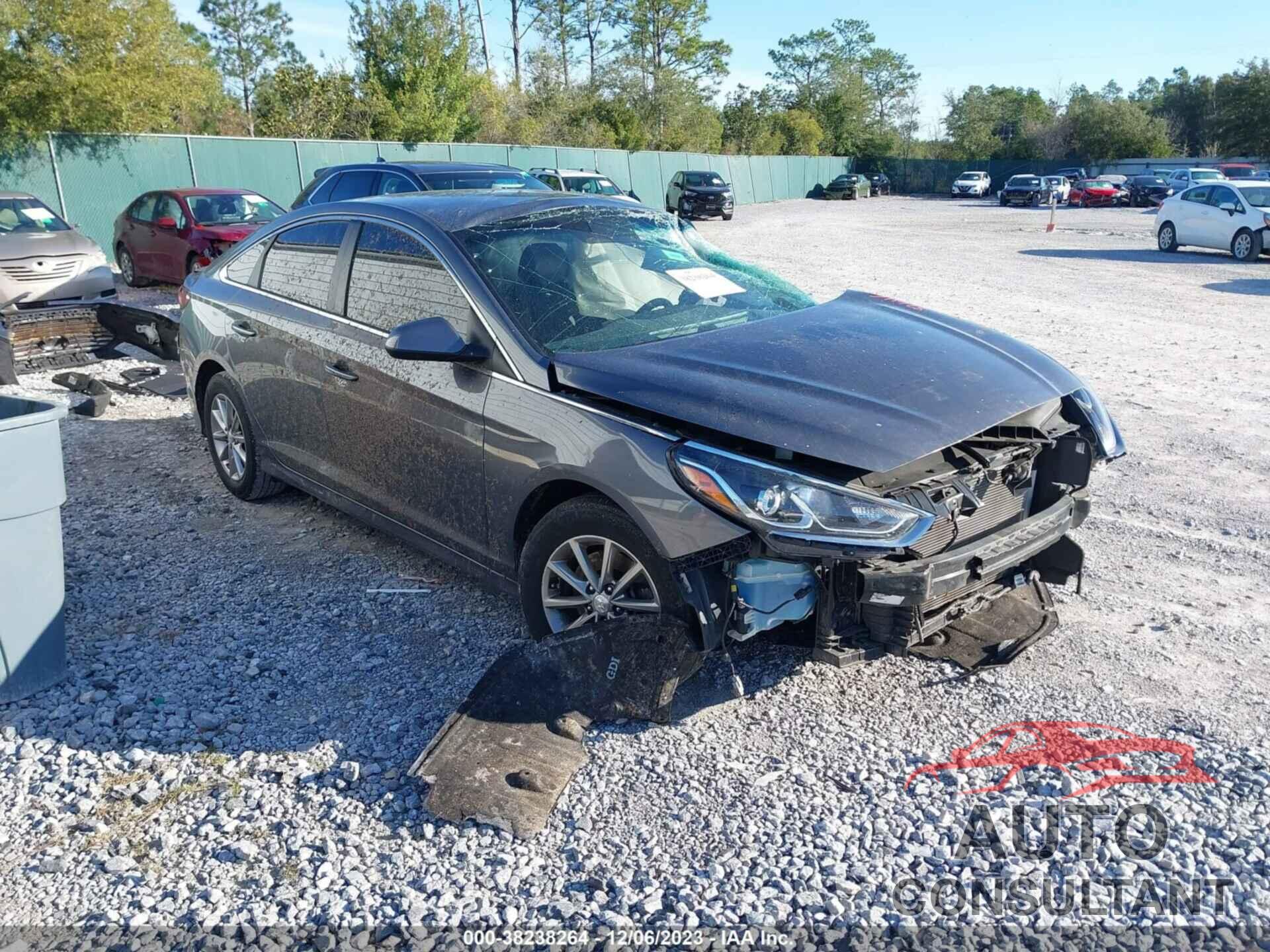 HYUNDAI SONATA 2019 - 5NPE24AF0KH732001